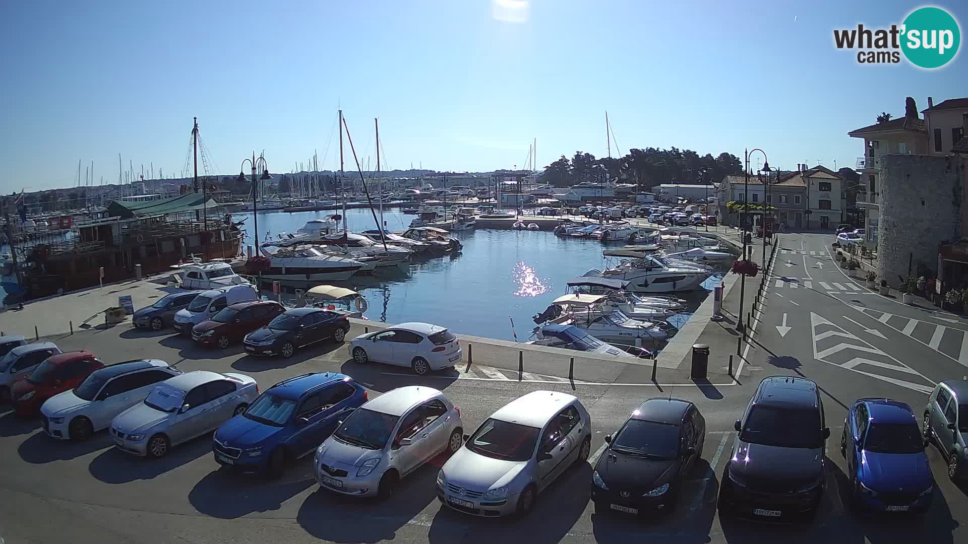 Novigrad | Porporela marina
