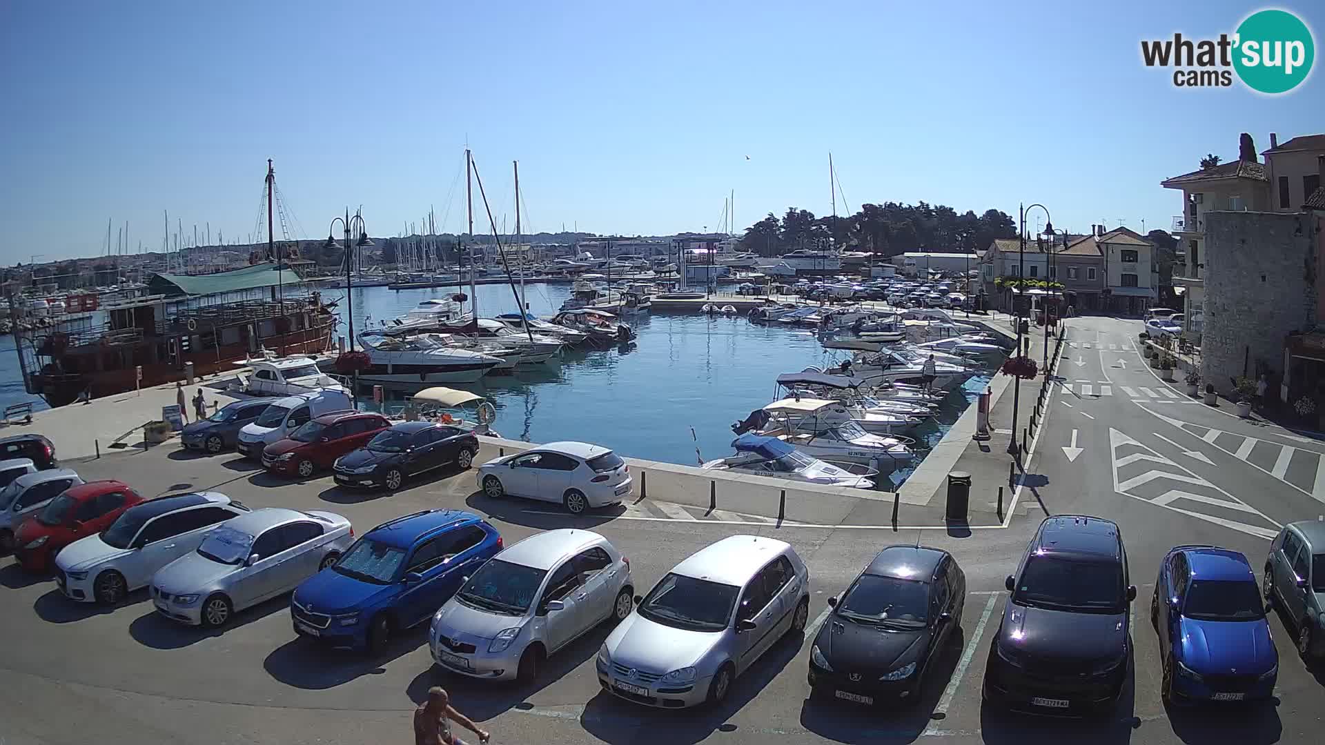 Novigrad | Porporela marina