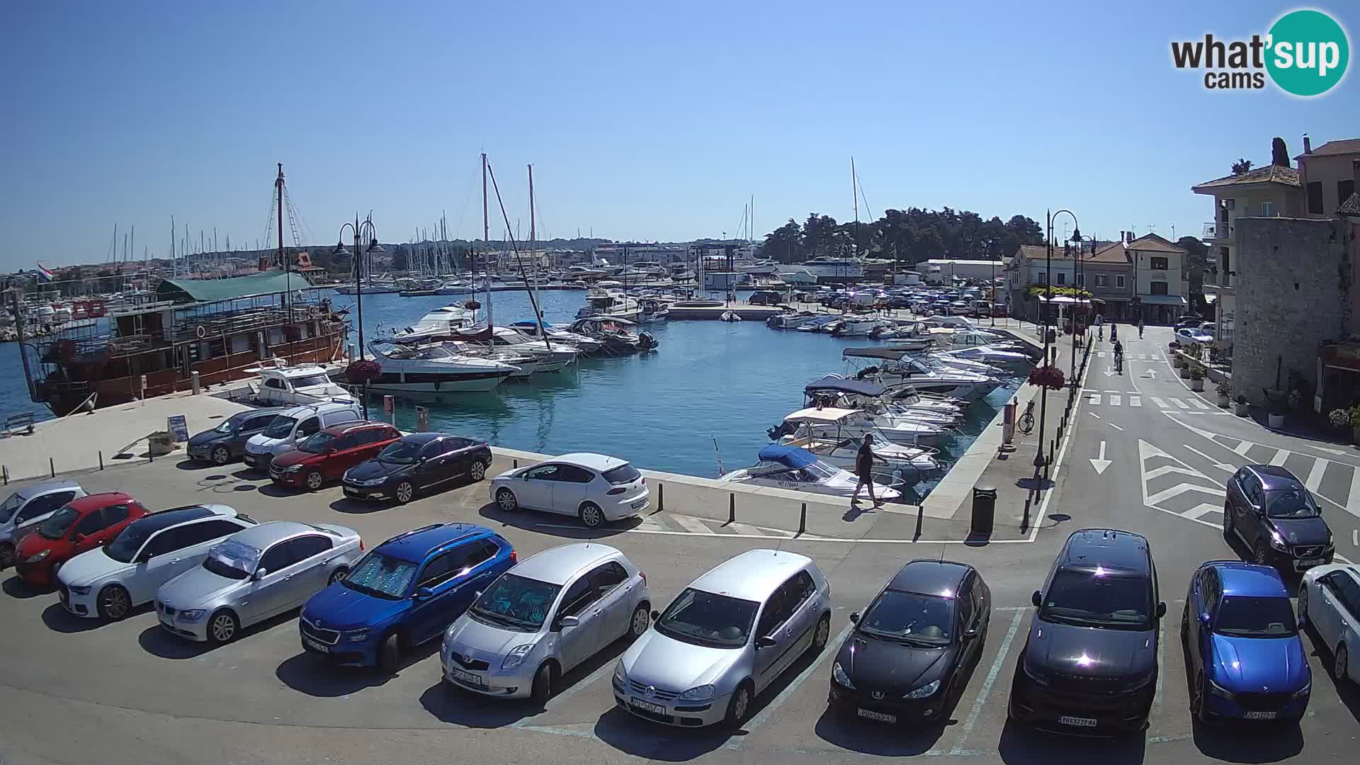 Novigrad | Porporela marina