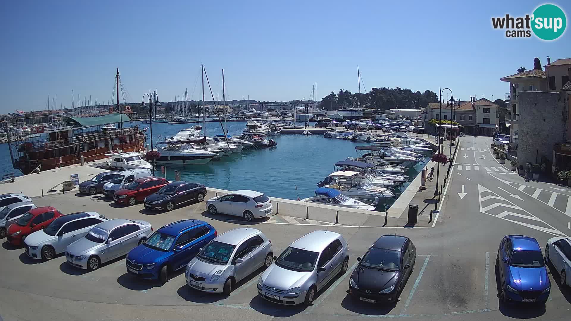 Novigrad | Porporela marina