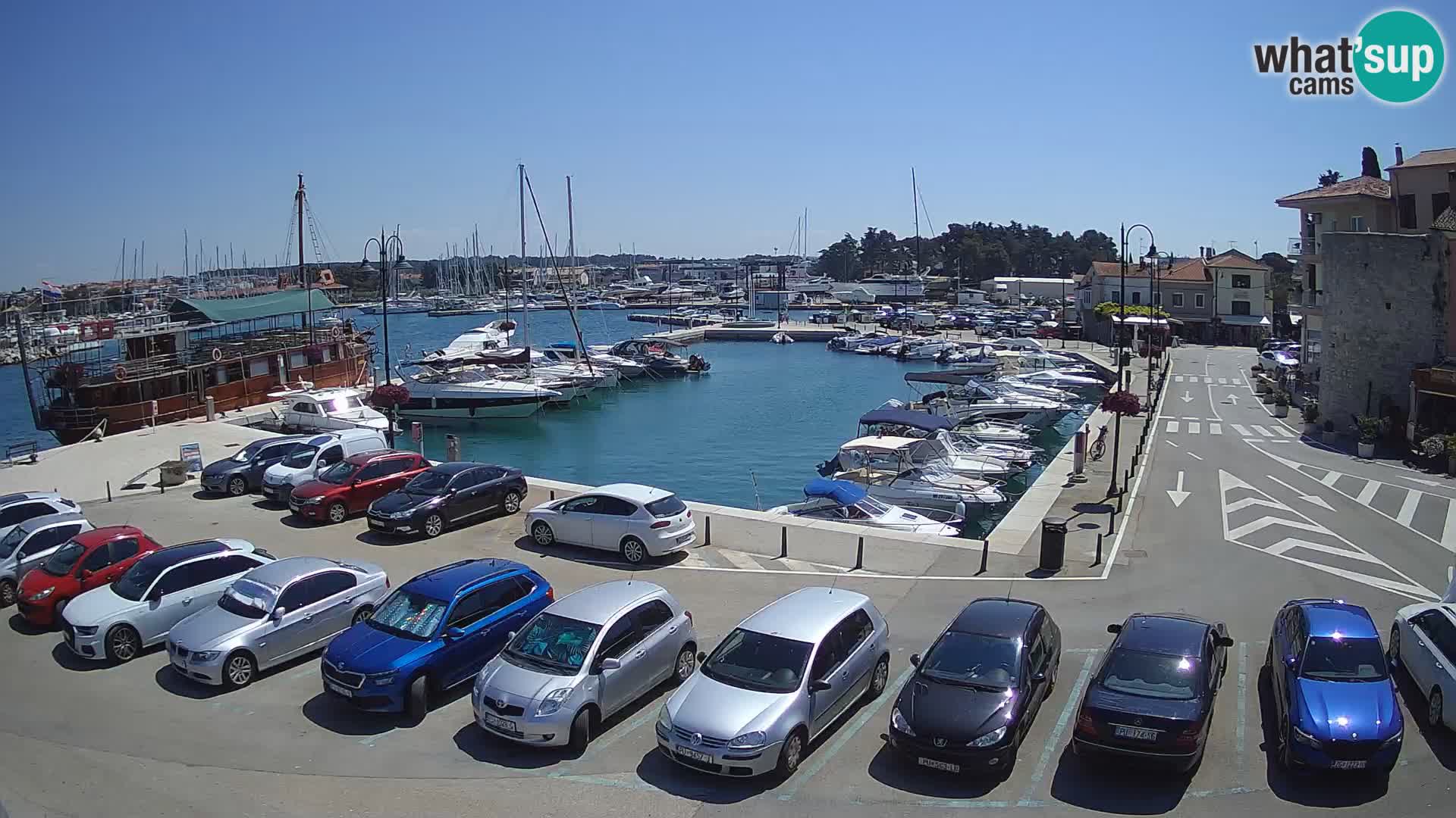 Novigrad | Porporela marina