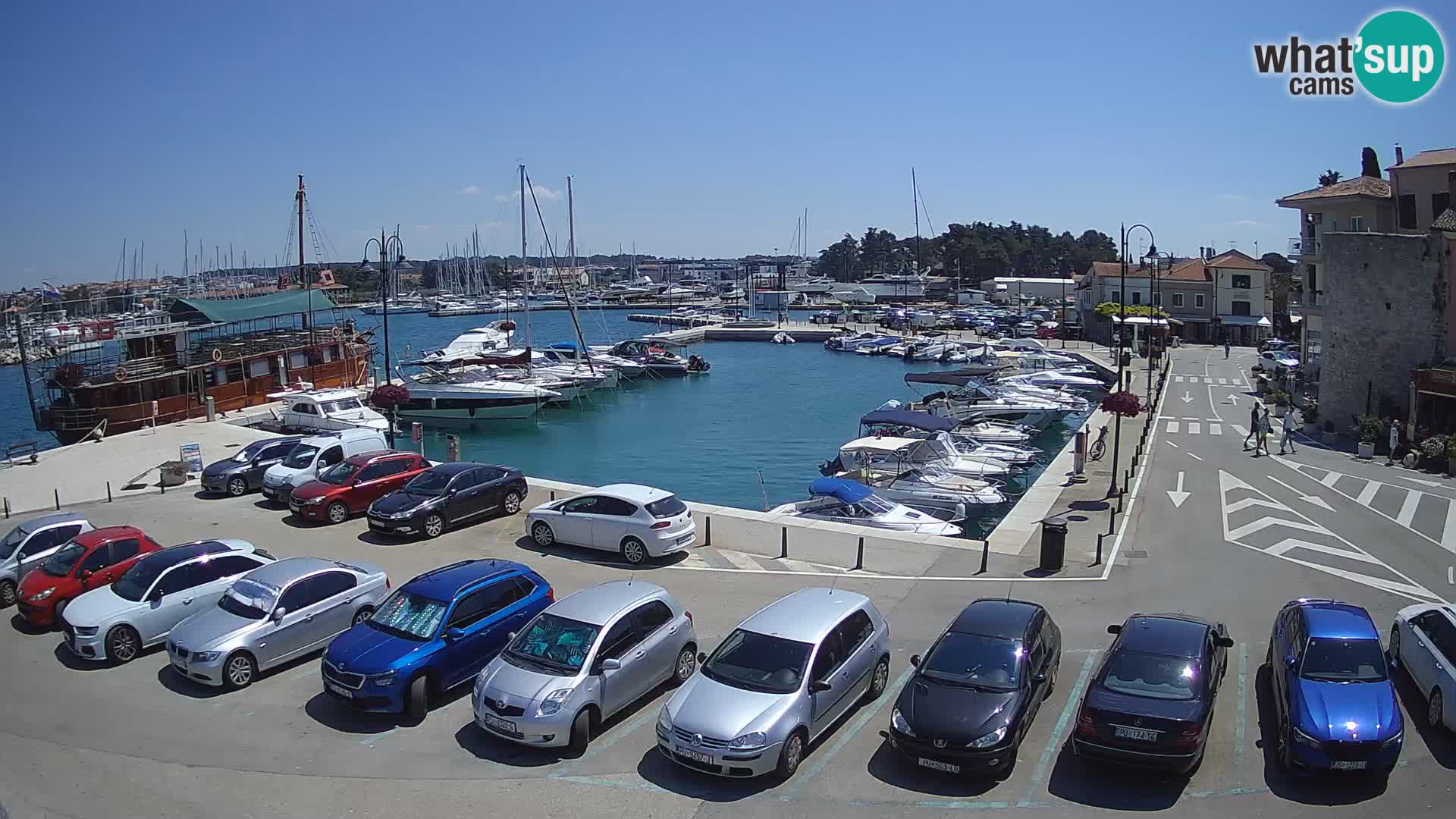 Novigrad | Porporela marina