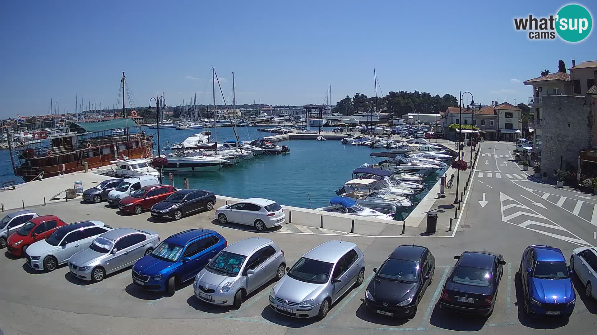 Novigrad | Porporela marina