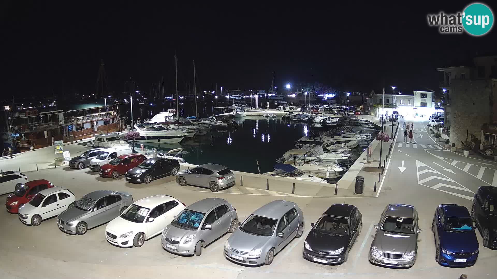 Novigrad | Porporela marina