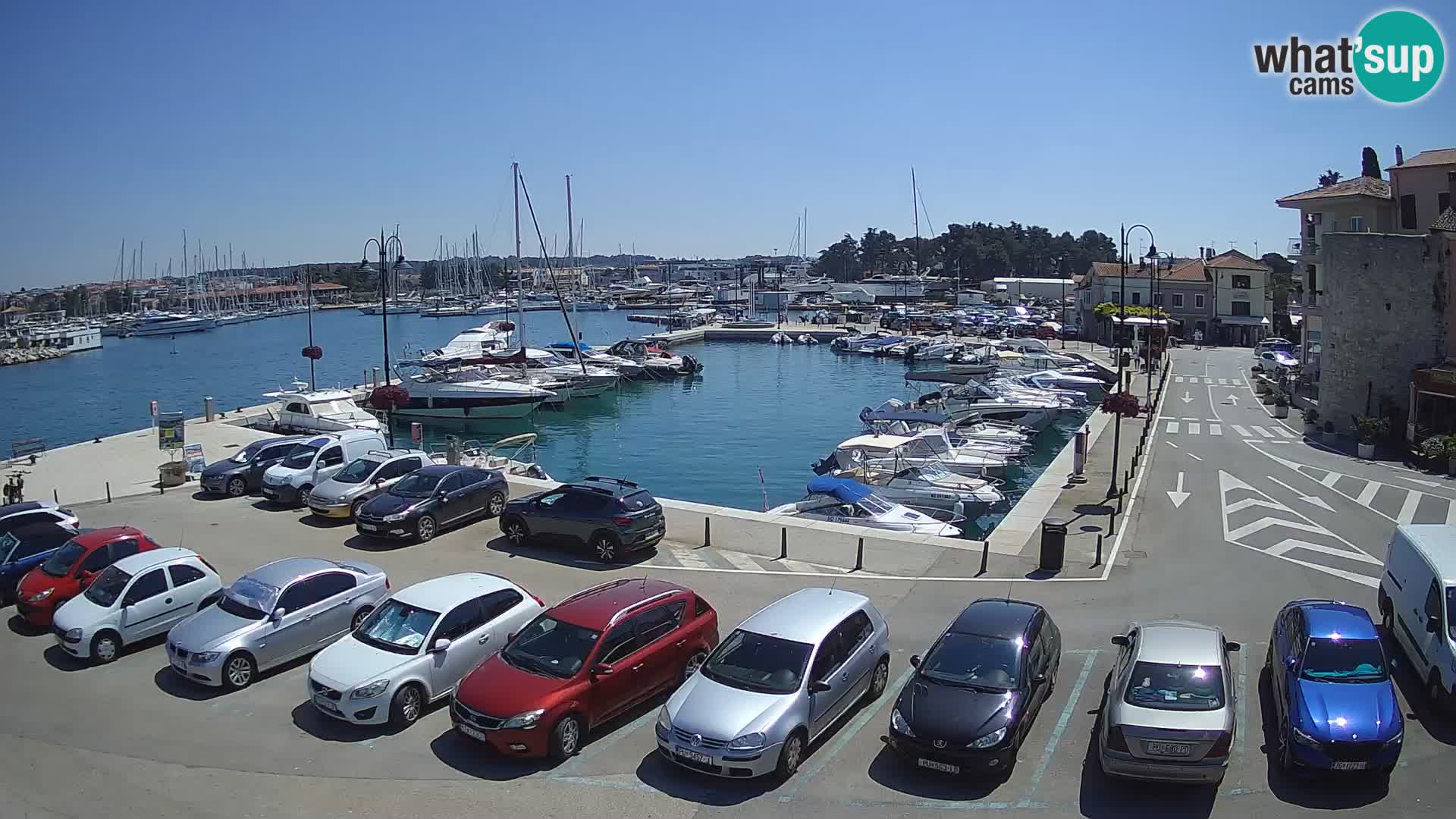 Novigrad | Porporela marina