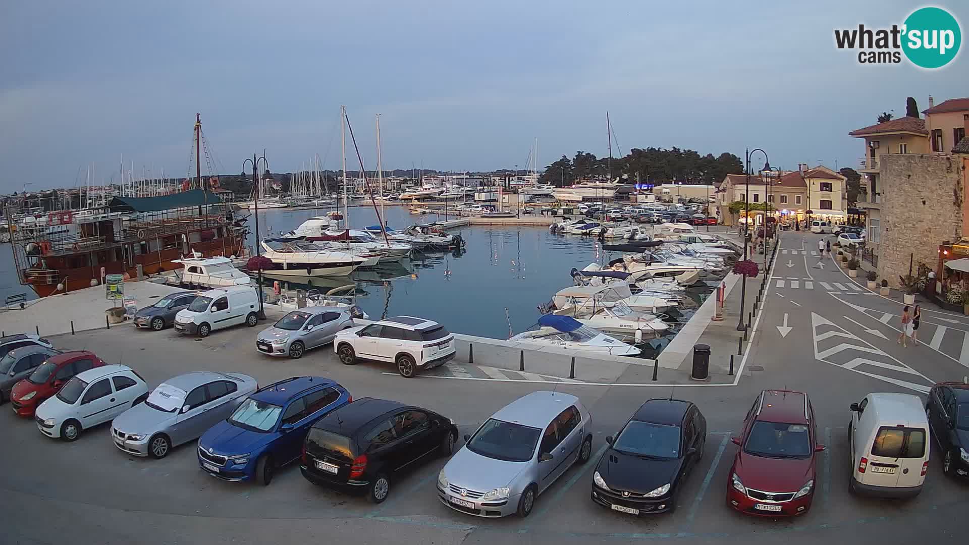 Novigrad | Porporela marina