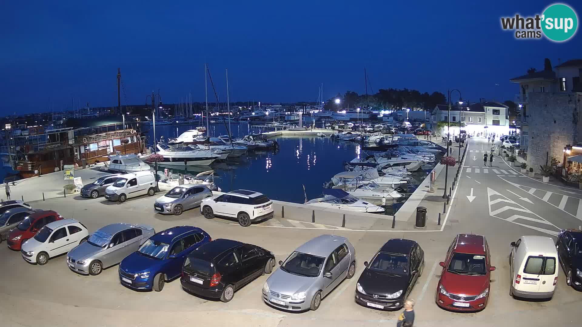 Novigrad | Porporela marina