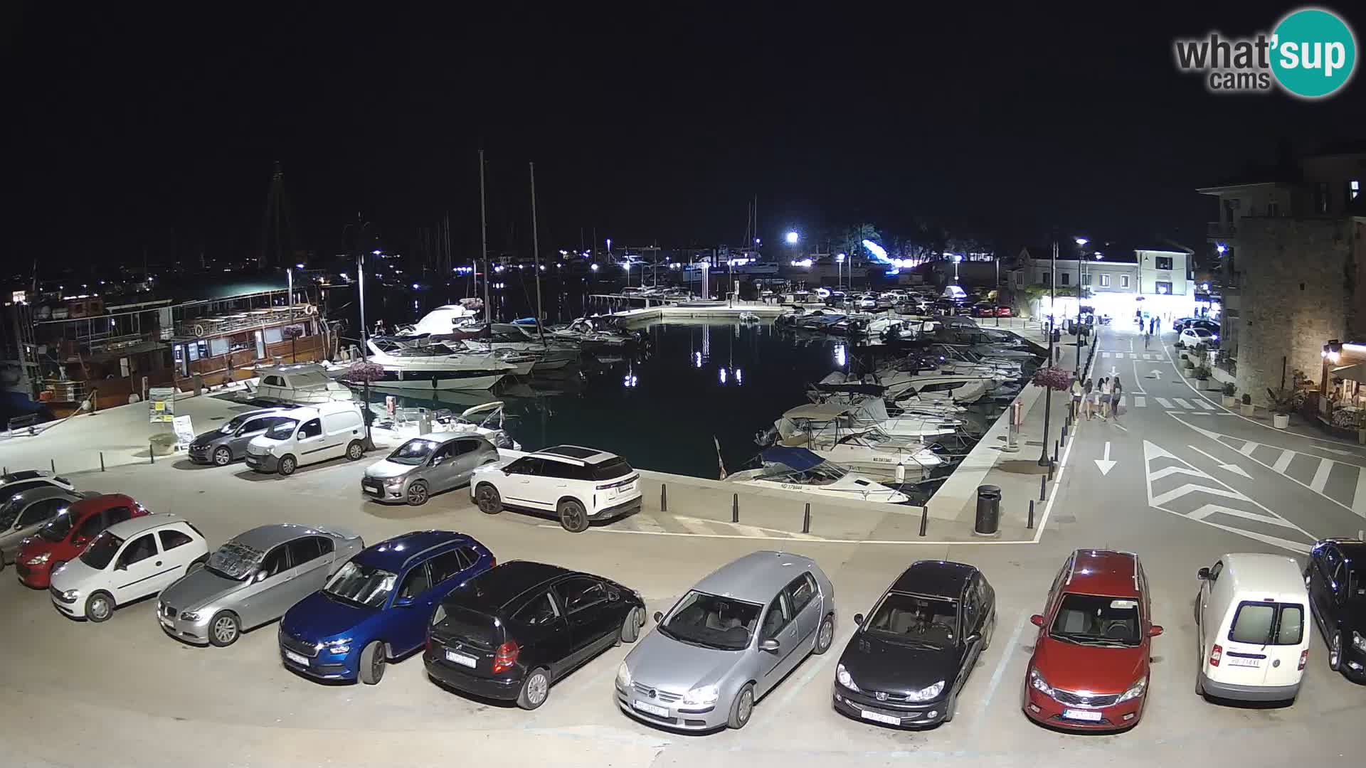Novigrad | Porporela marina