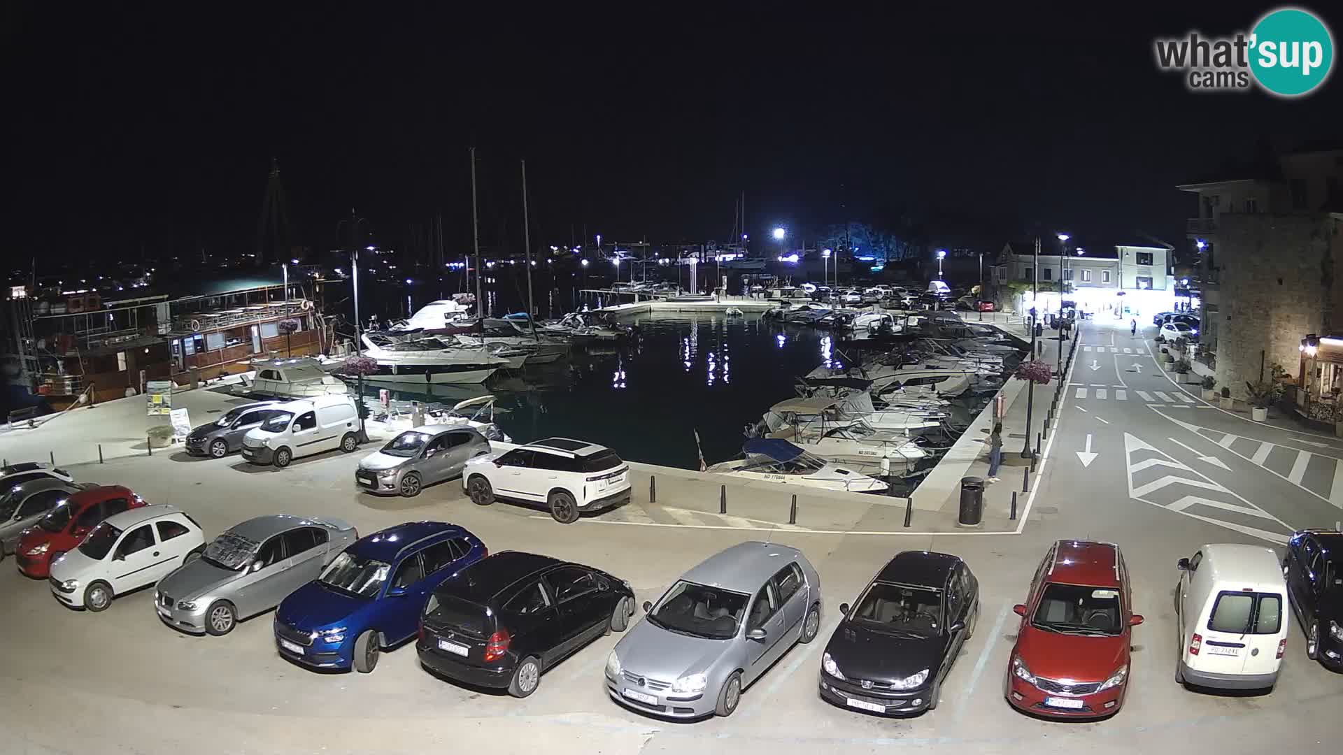 Novigrad | Porporela marina