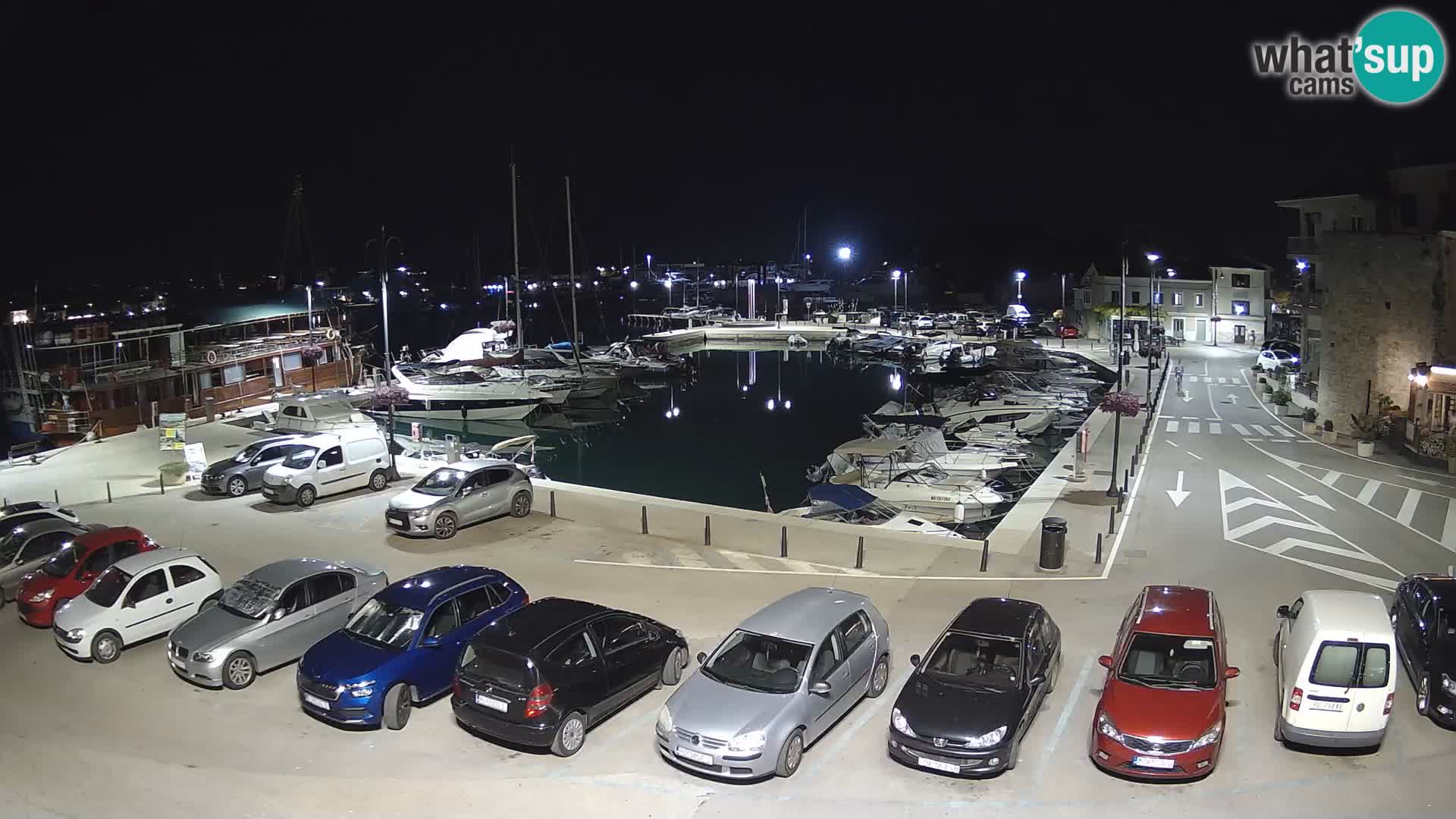 Novigrad | Porporela marina