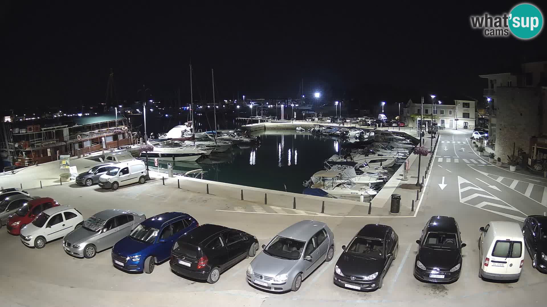 Novigrad | Porporela marina