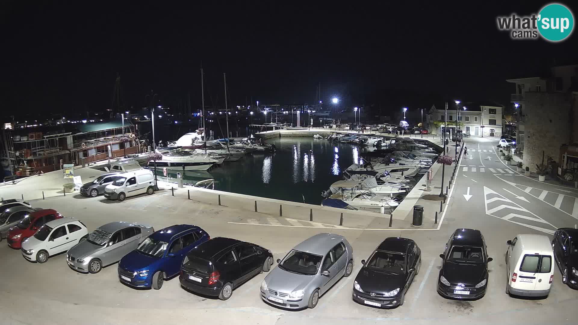 Novigrad | Porporela marina