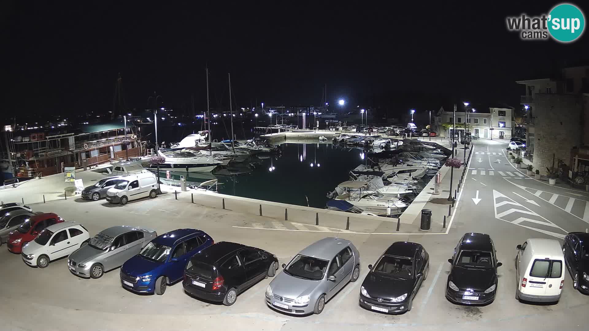 Novigrad | Porporela marina