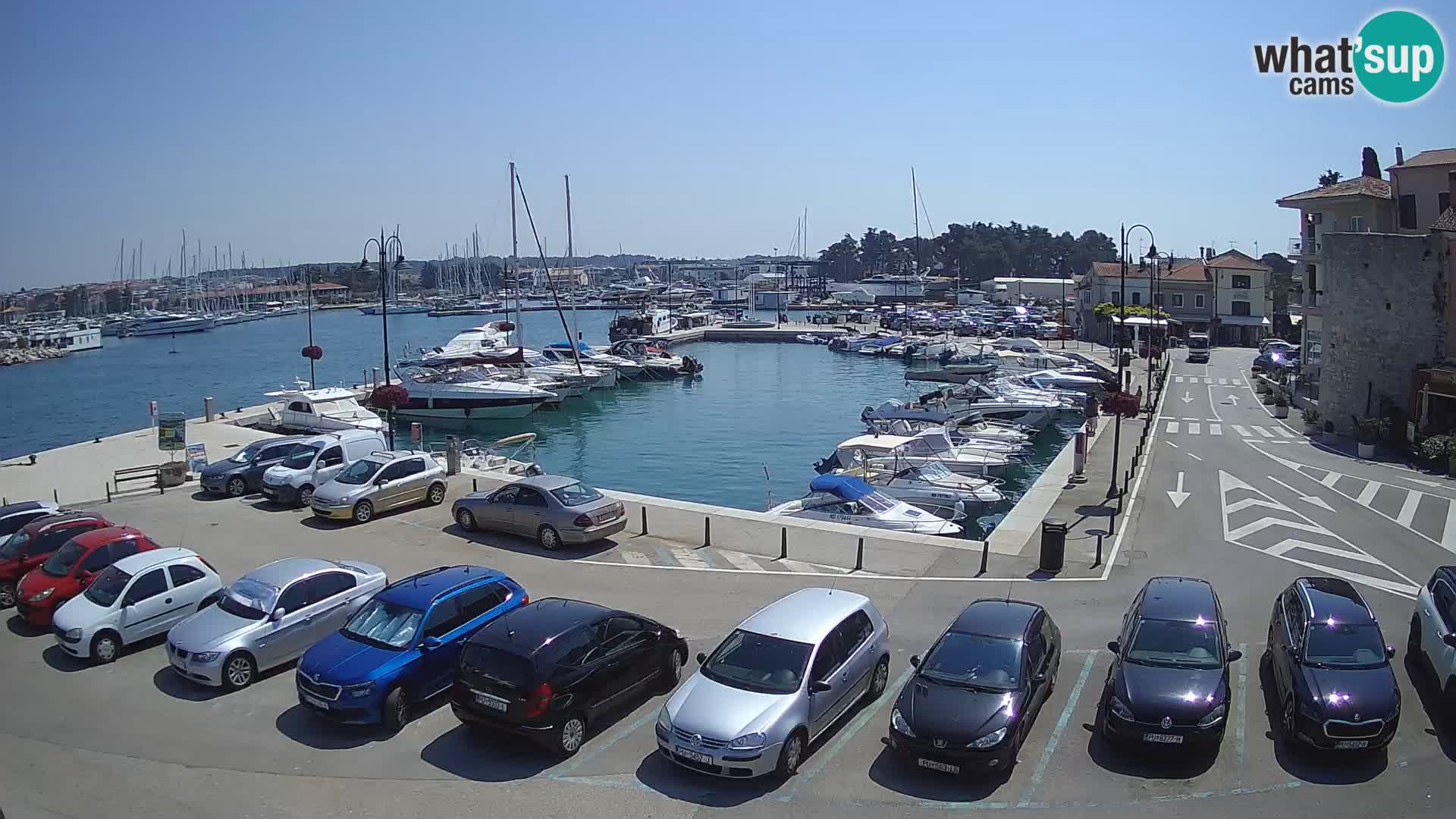 Novigrad | Porporela marina