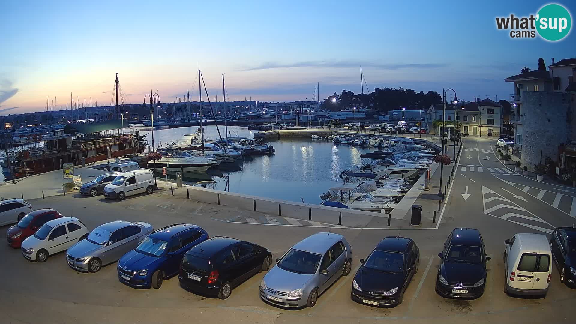 Novigrad | Porporela marina
