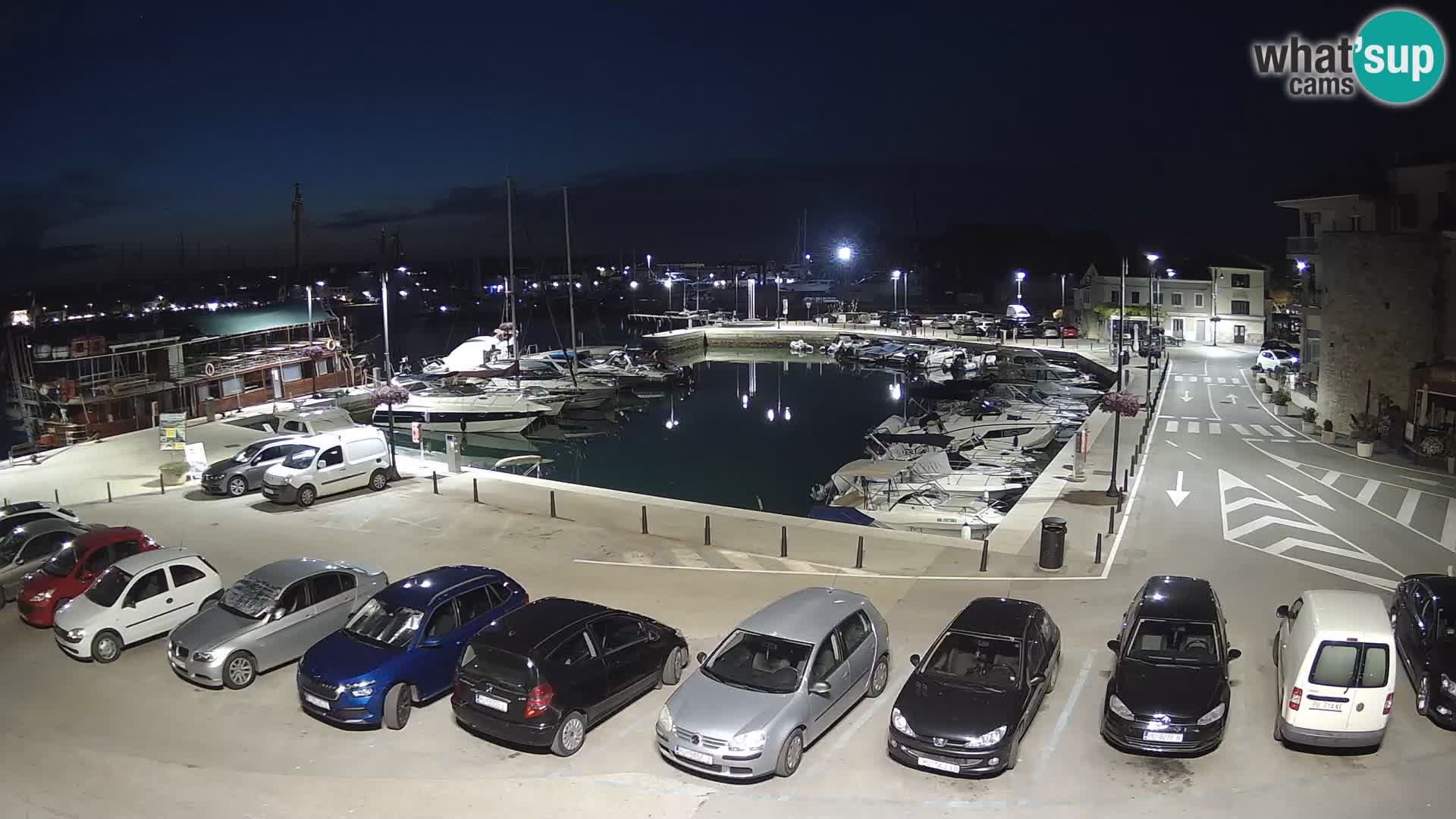 Novigrad | Porporela marina
