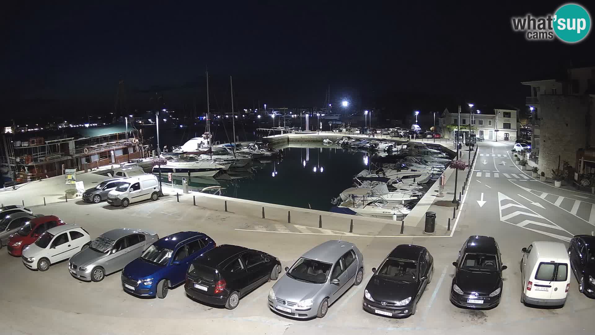 Novigrad | Porporela marina