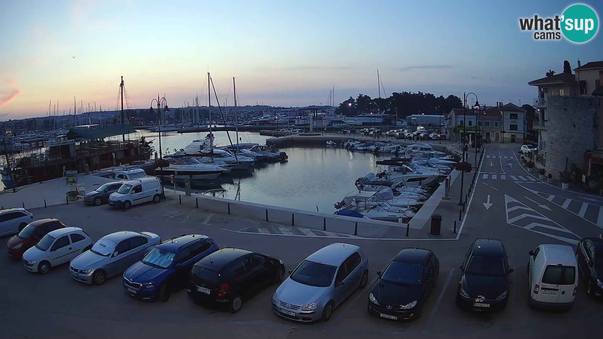 Novigrad | Porporela marina