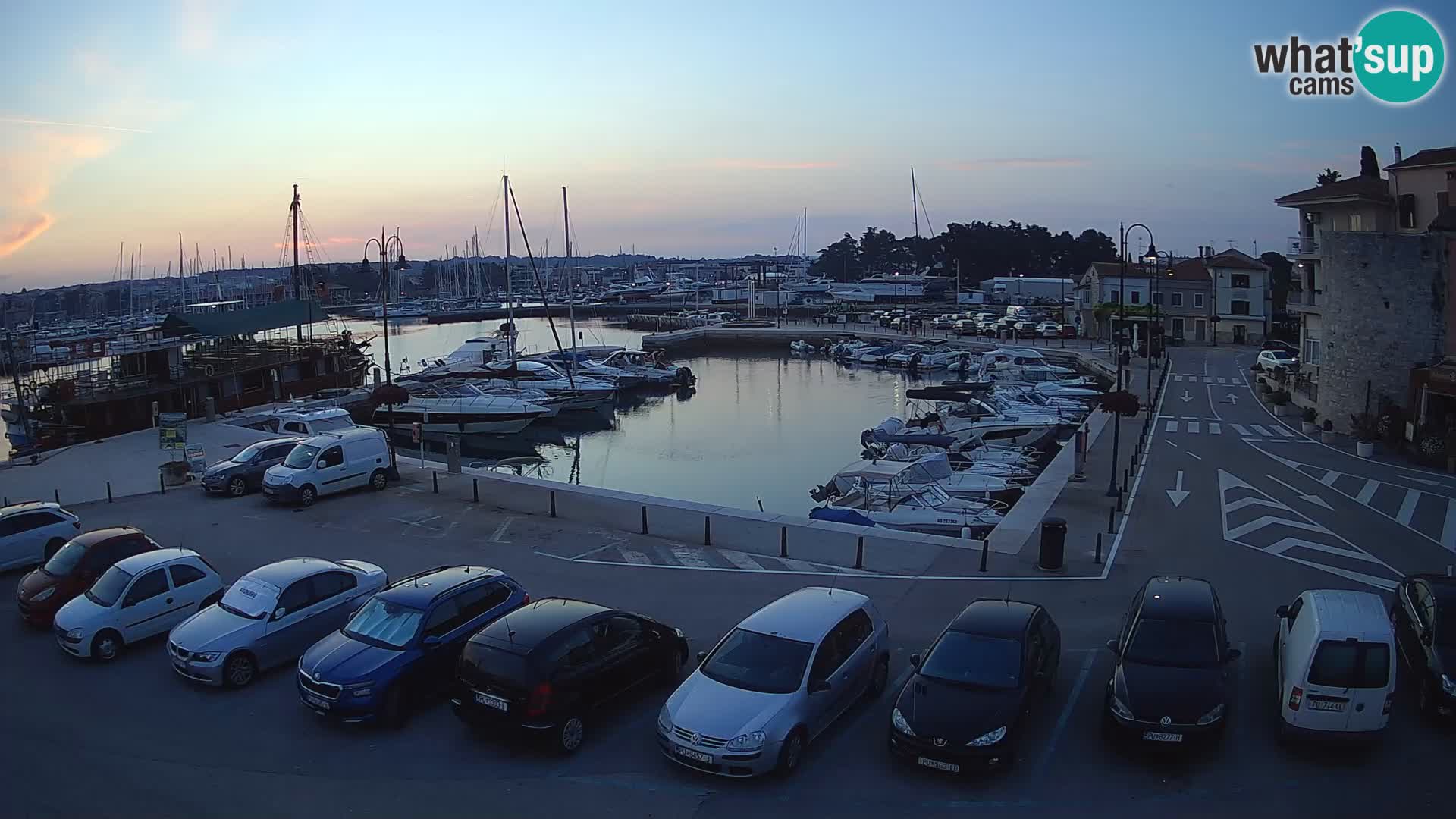 Novigrad | Porporela marina