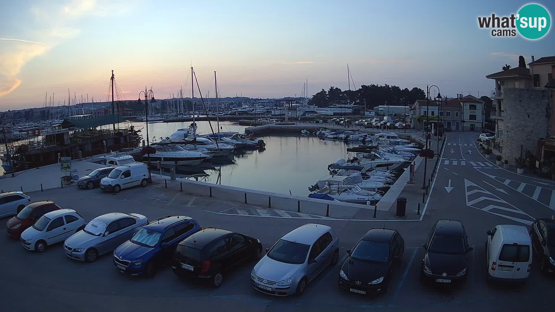 Novigrad | Porporela marina