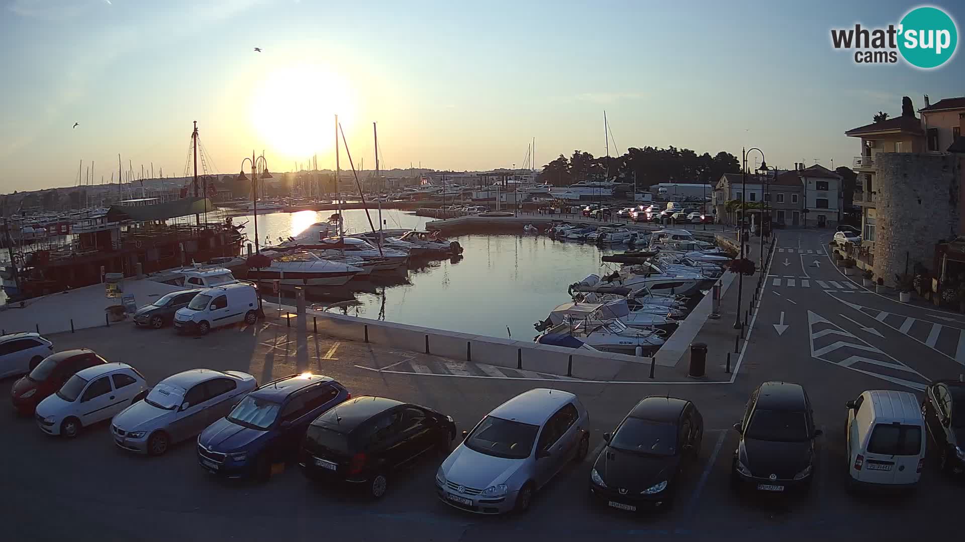 Novigrad | Porporela marina