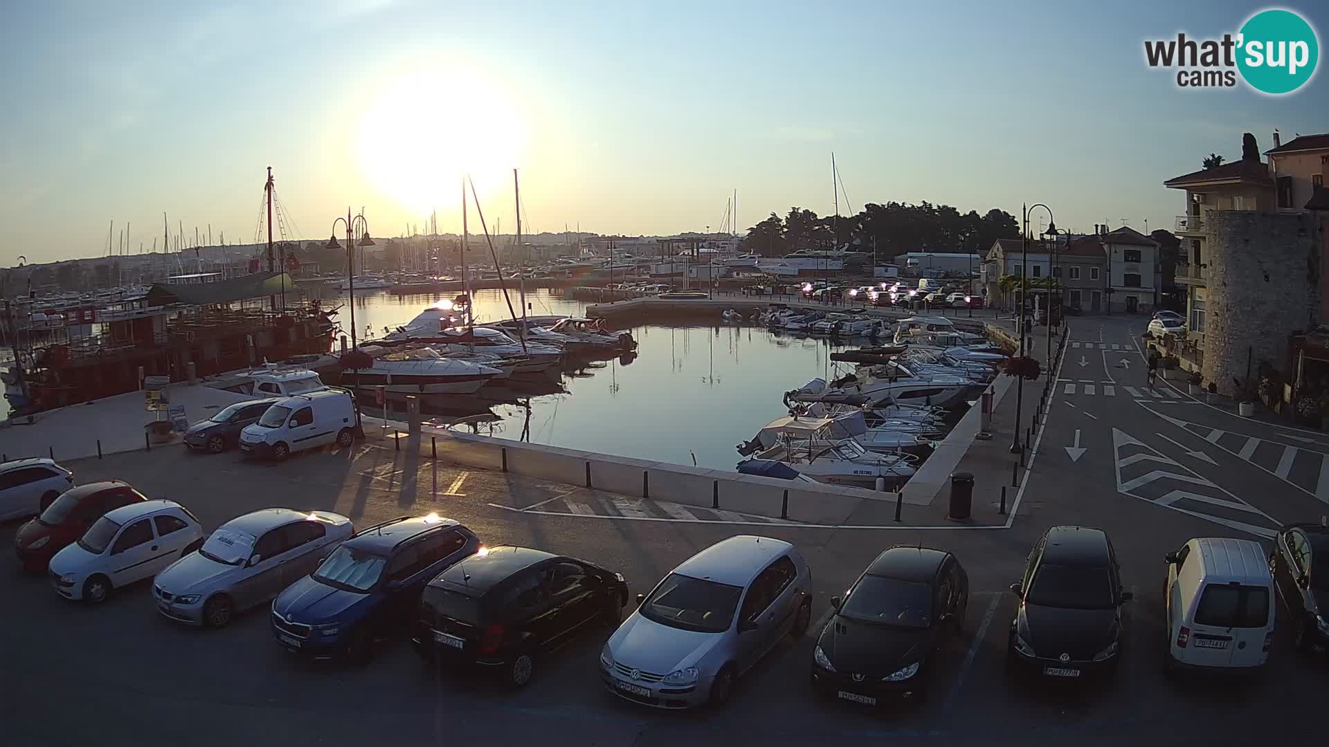 Novigrad | Porporela marina