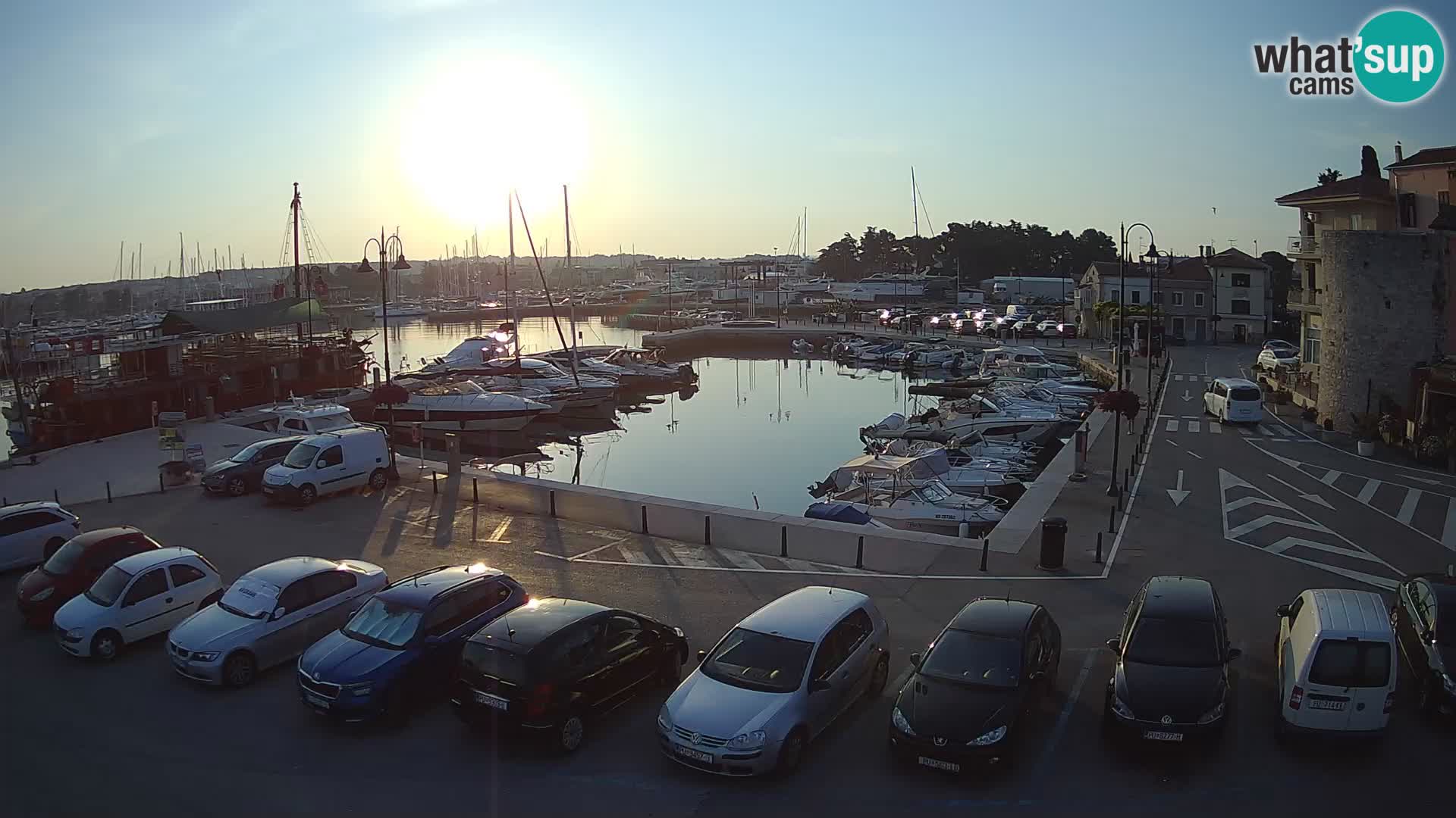 Novigrad | Porporela marina