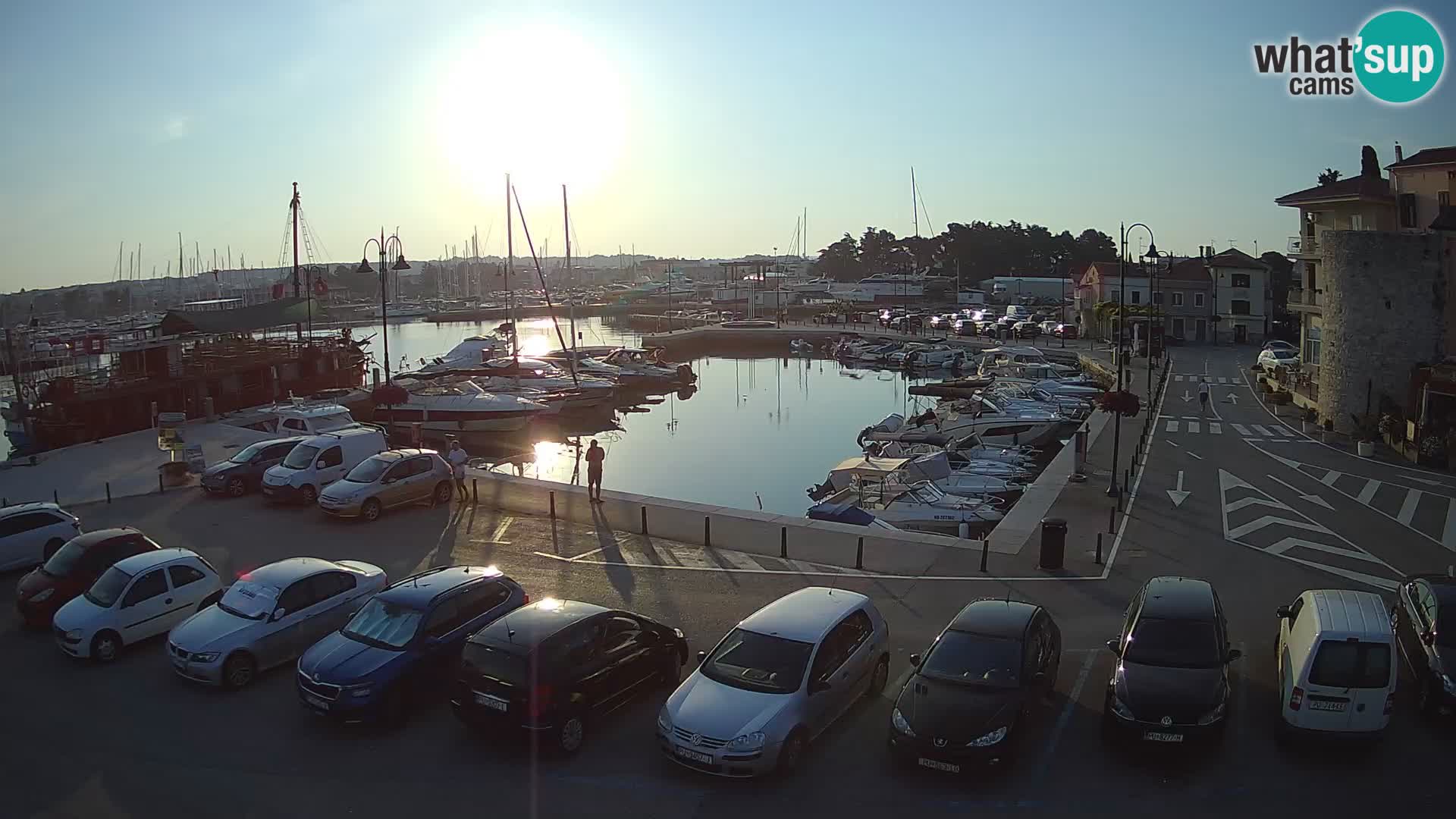 Novigrad | Porporela marina
