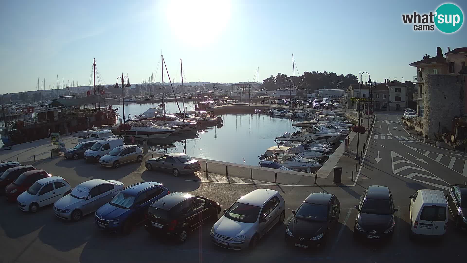 Novigrad | Porporela marina