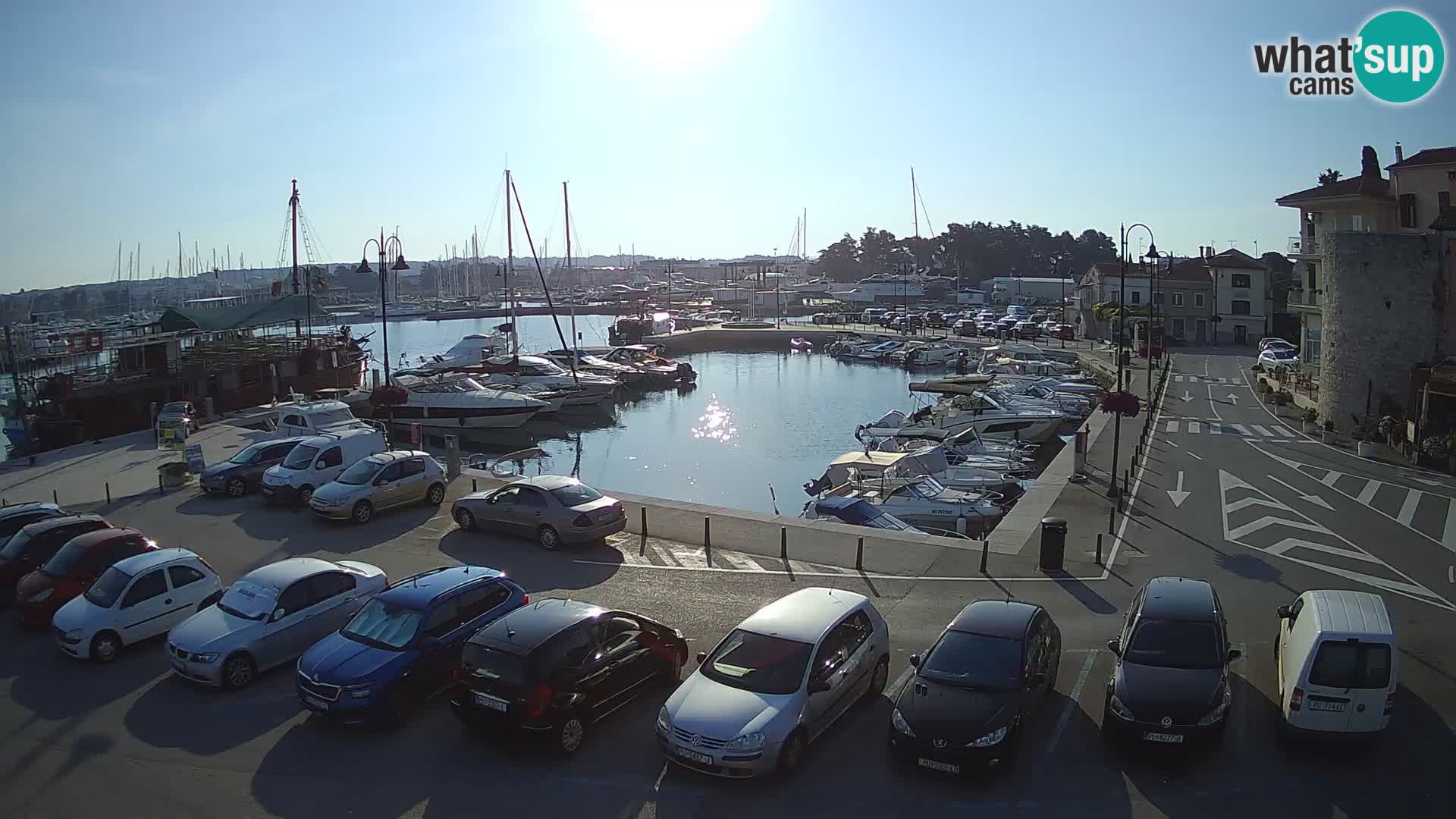 Novigrad | Porporela marina