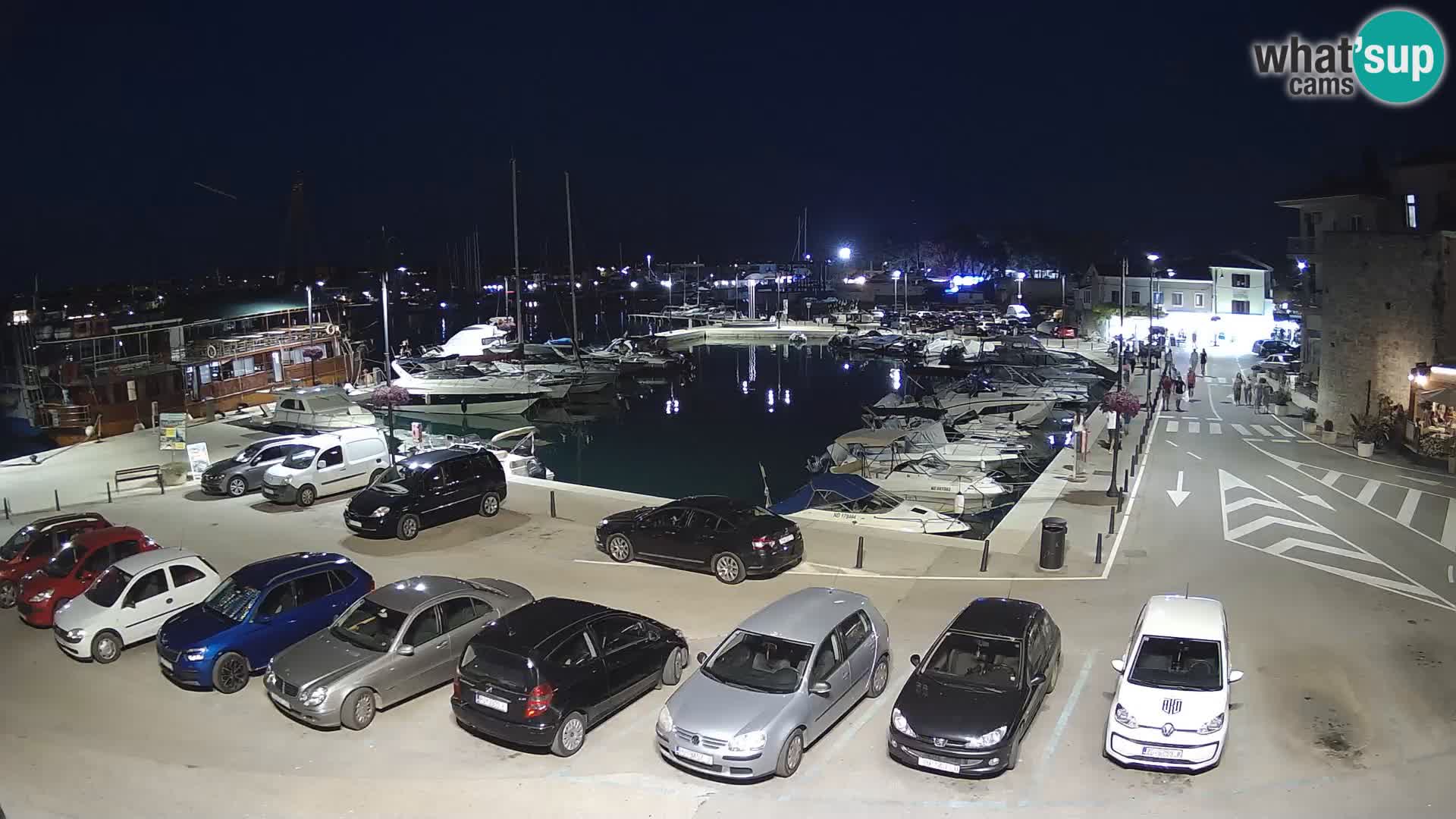 Novigrad | Porporela marina