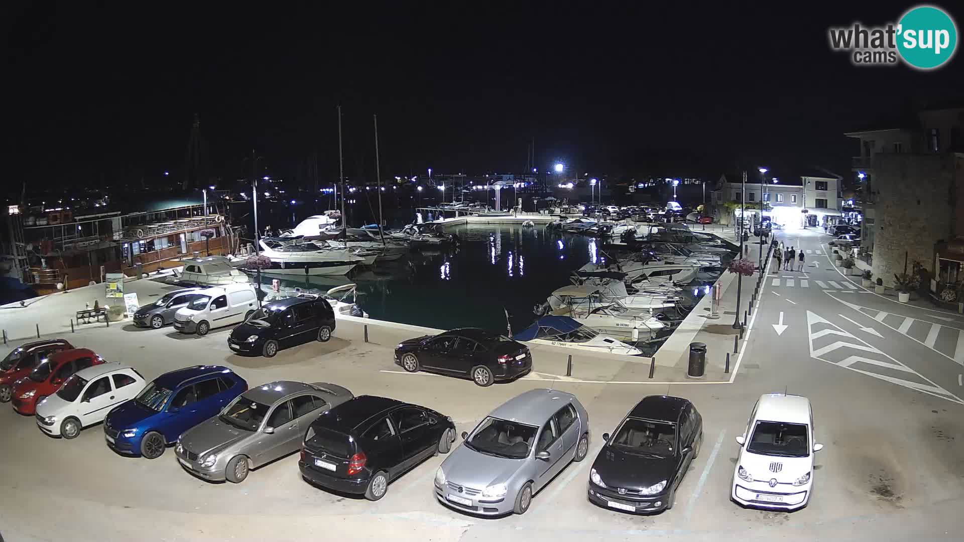 Novigrad | Porporela marina