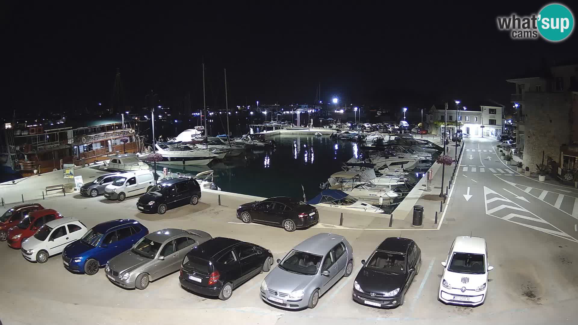 Novigrad | Porporela marina
