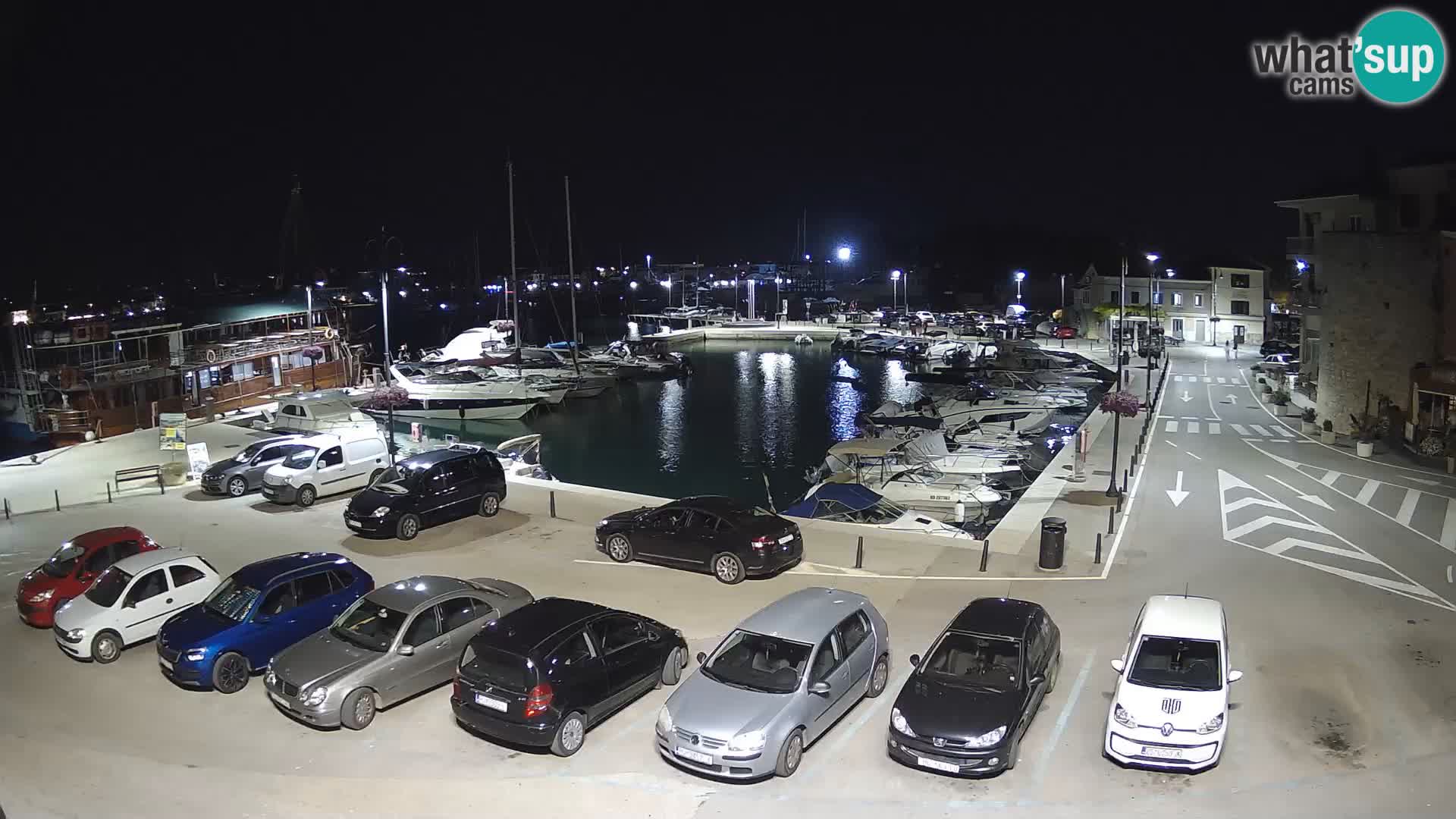 Novigrad | Porporela marina