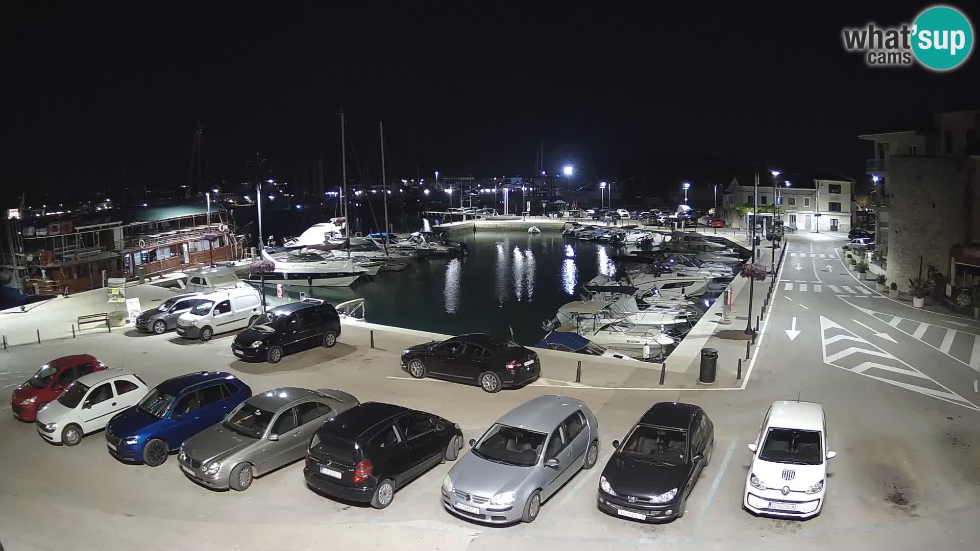 Novigrad | Porporela marina
