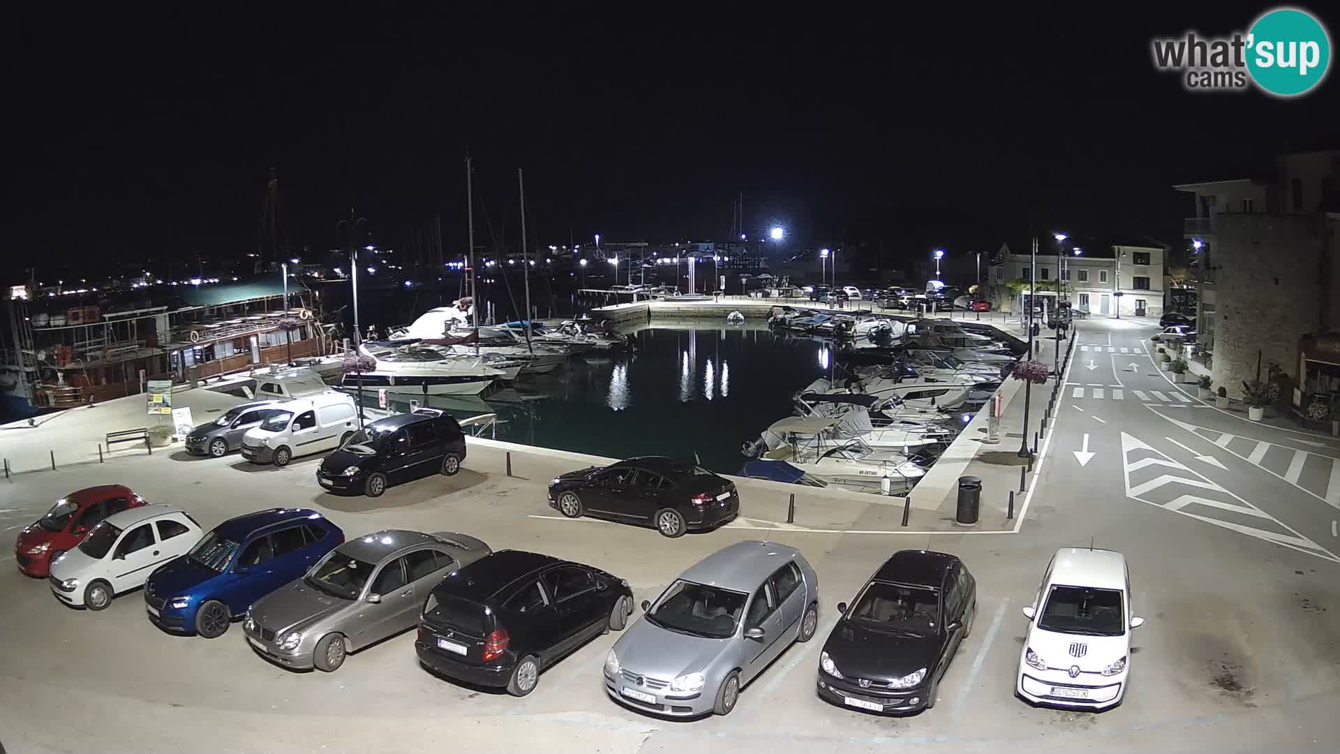 Novigrad | Porporela marina