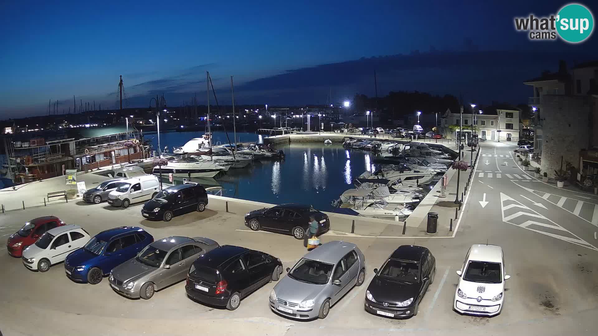 Novigrad | Porporela marina
