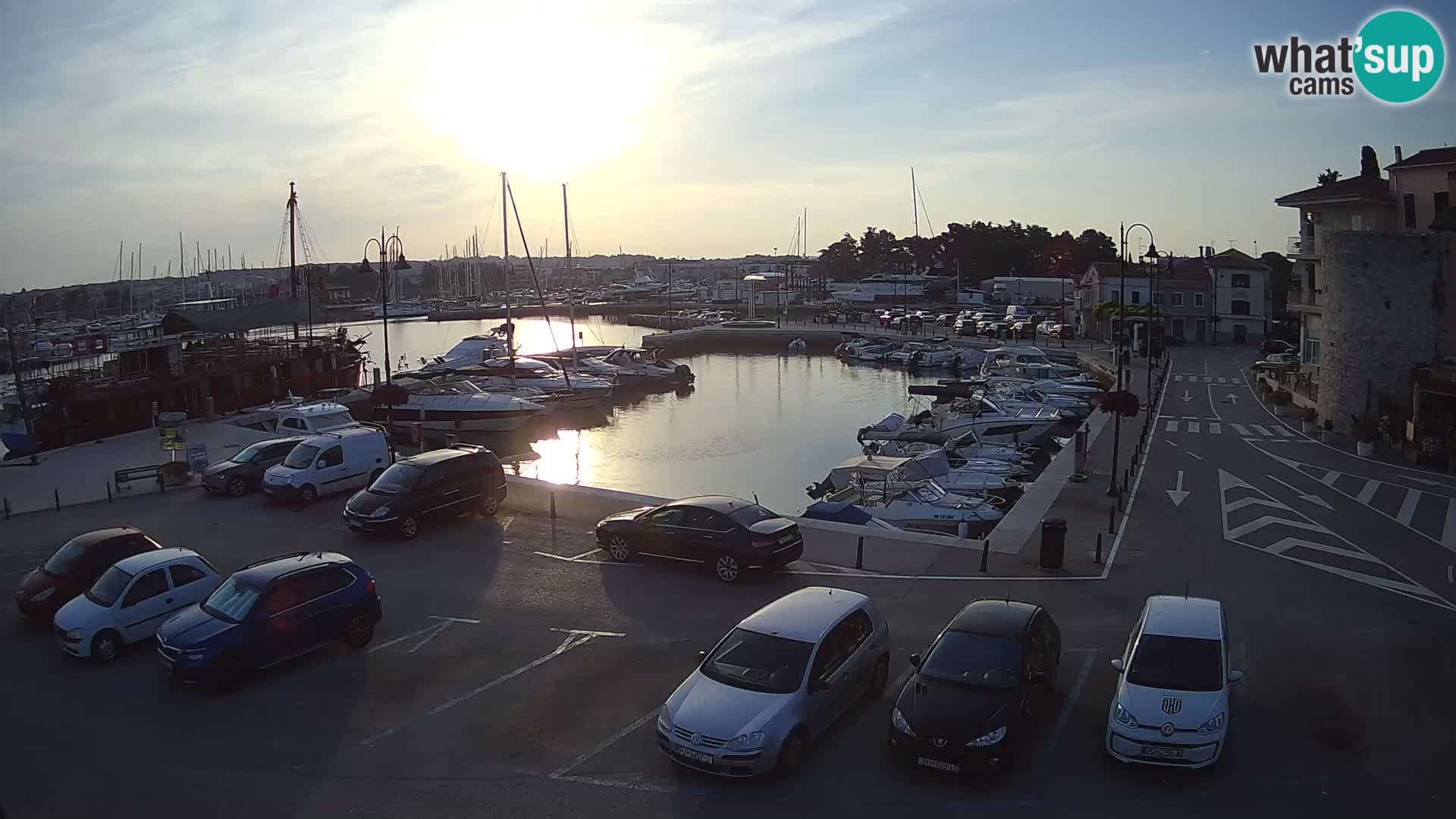 Novigrad | Porporela marina