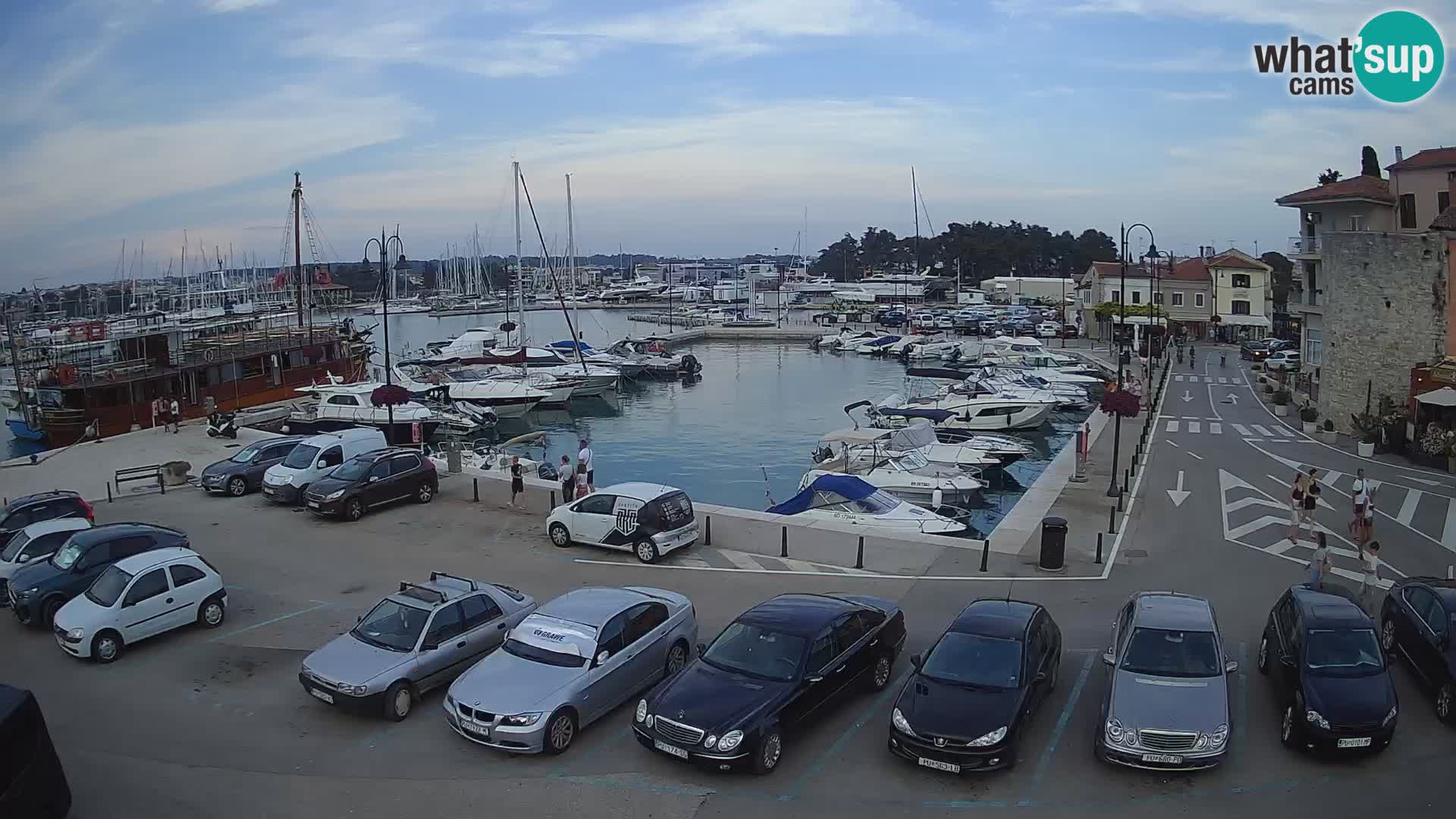 Novigrad | Porporela marina