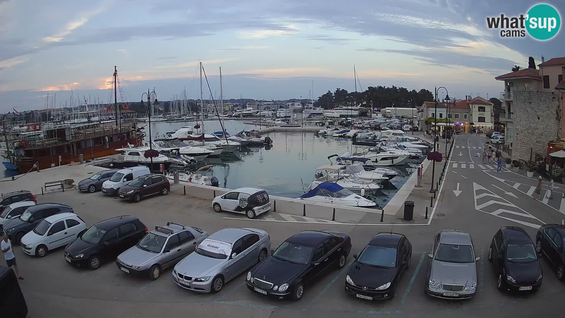 Novigrad | Porporela marina