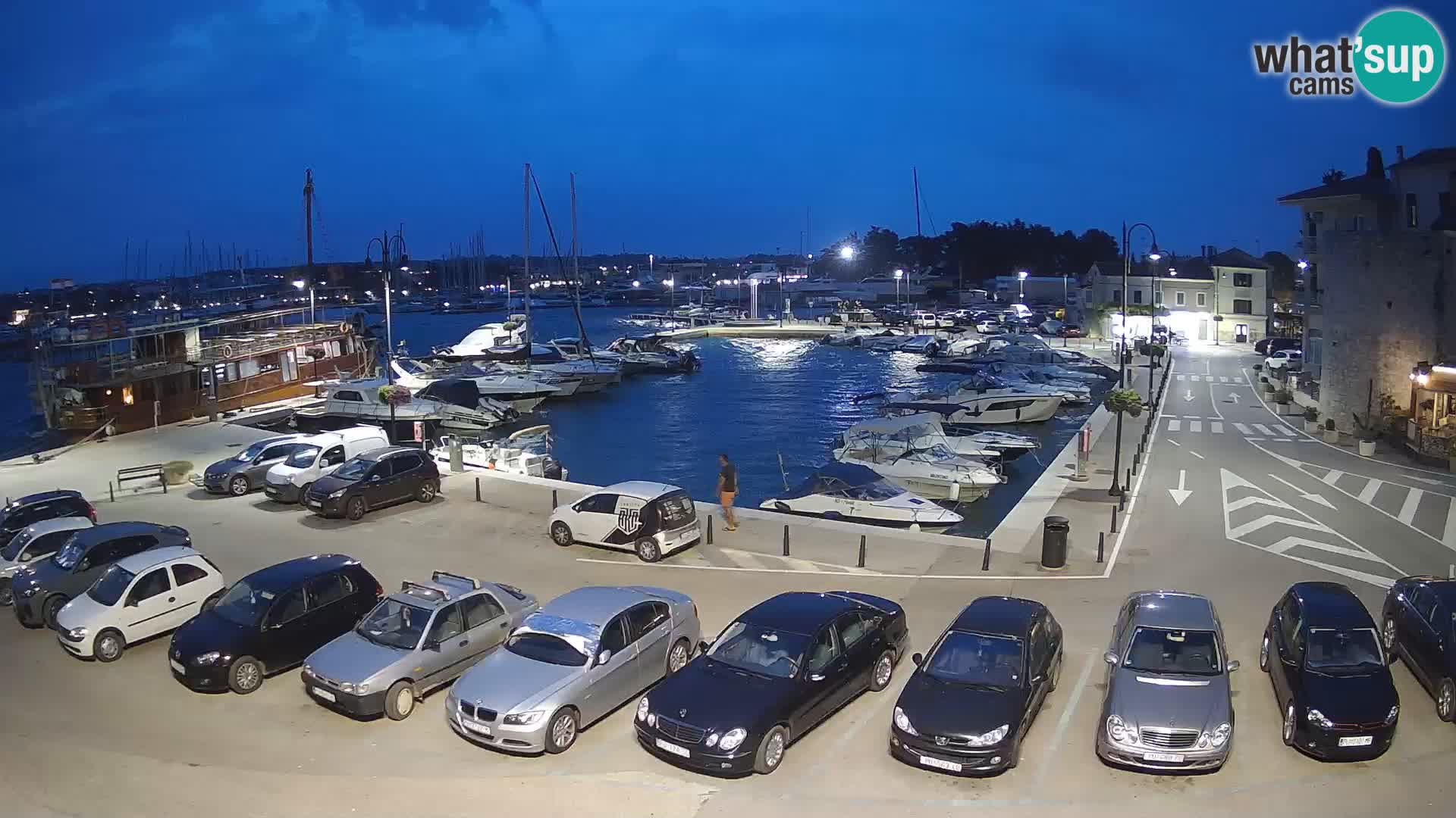 Novigrad | Porporela marina