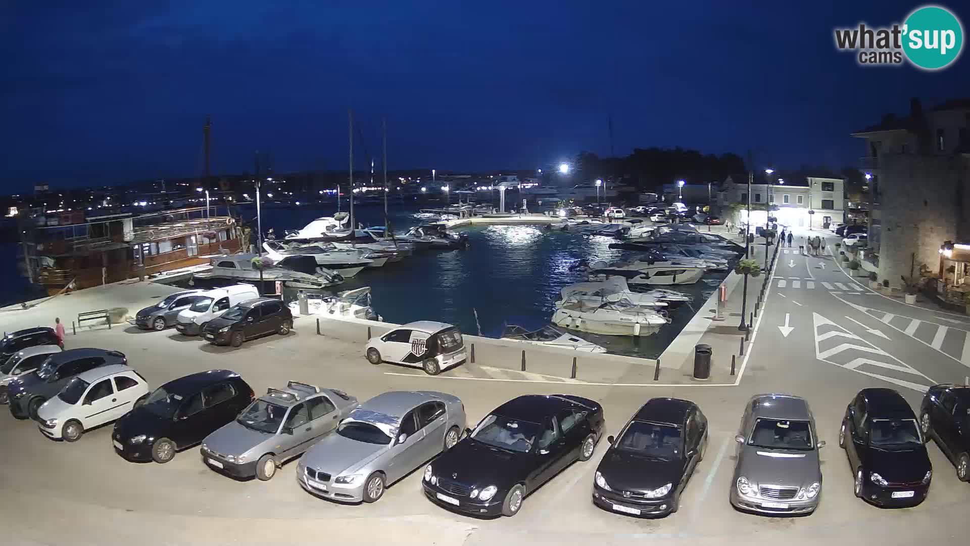 Novigrad | Porporela marina