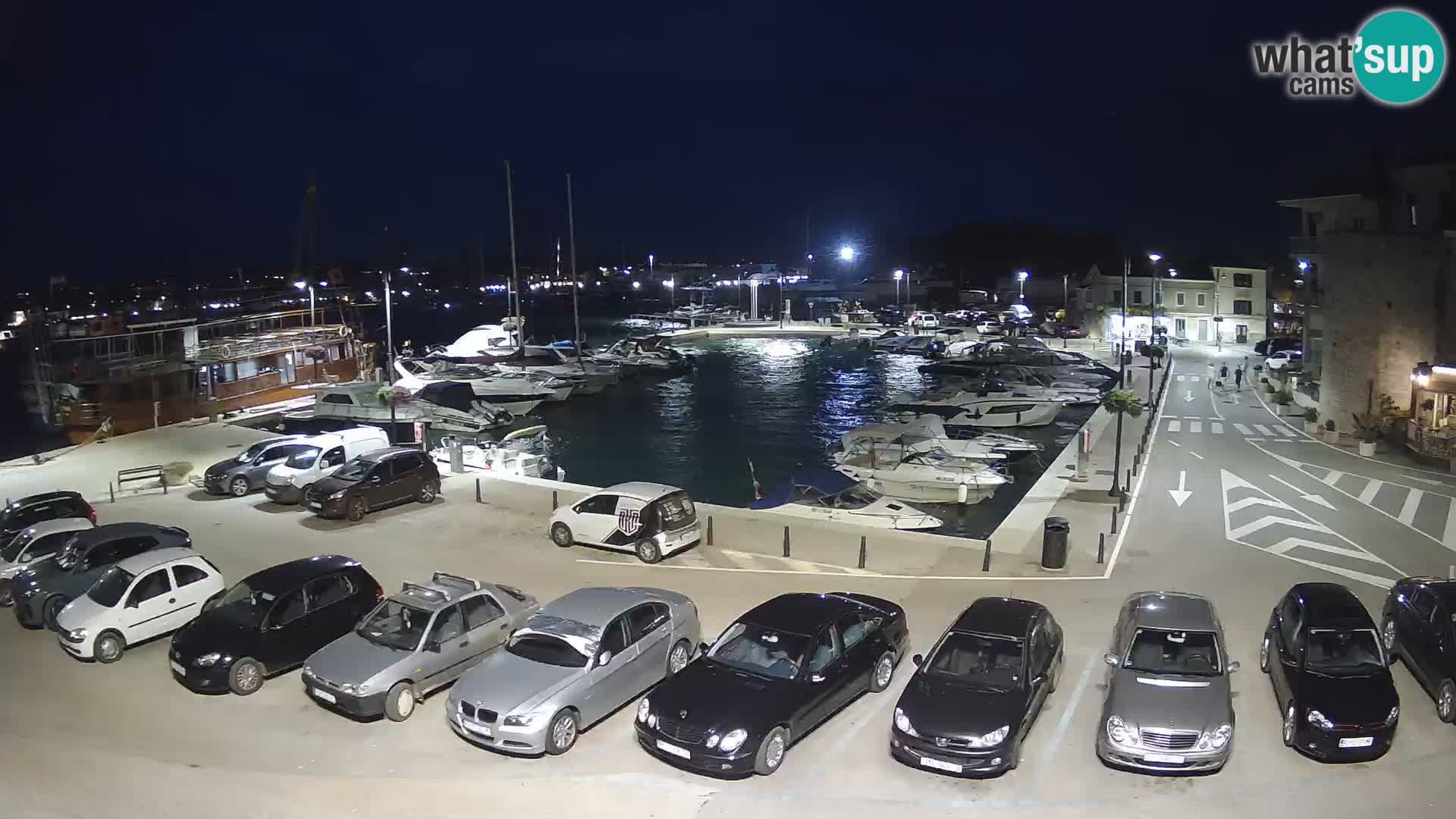 Novigrad | Porporela marina