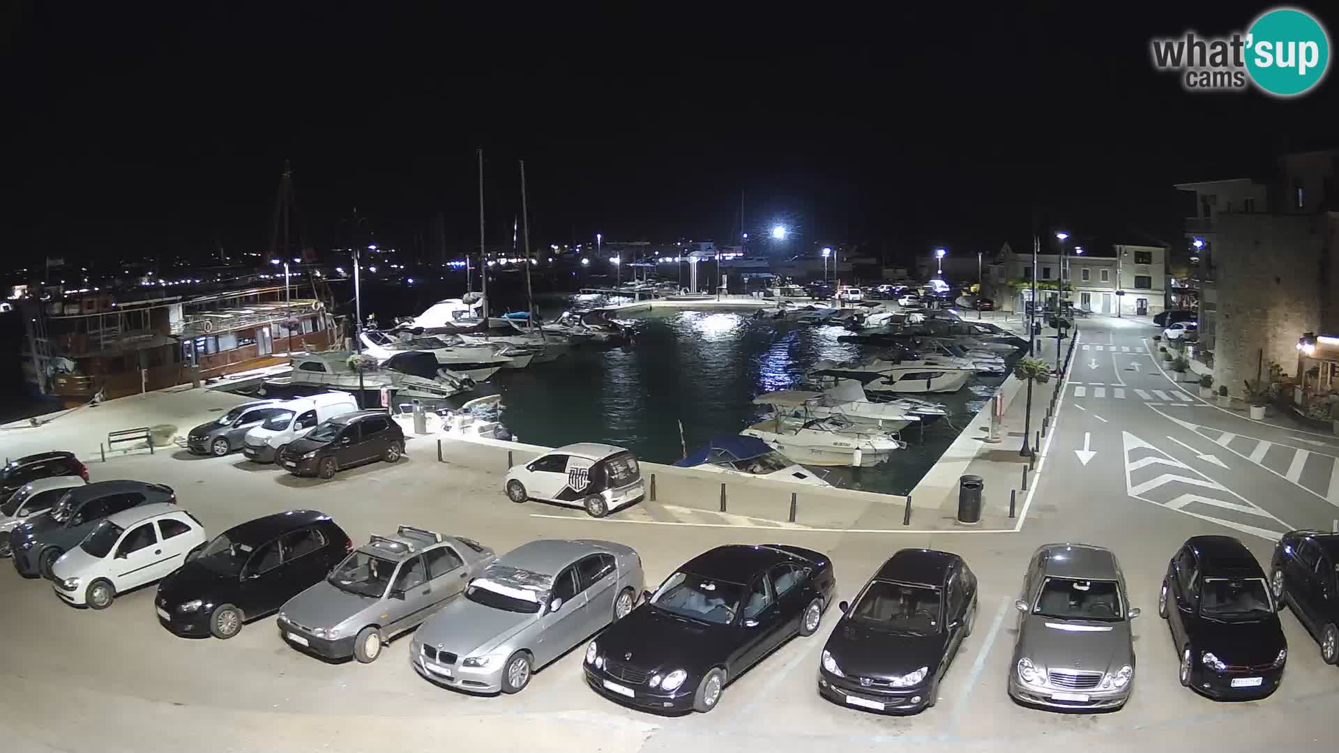 Novigrad | Porporela marina