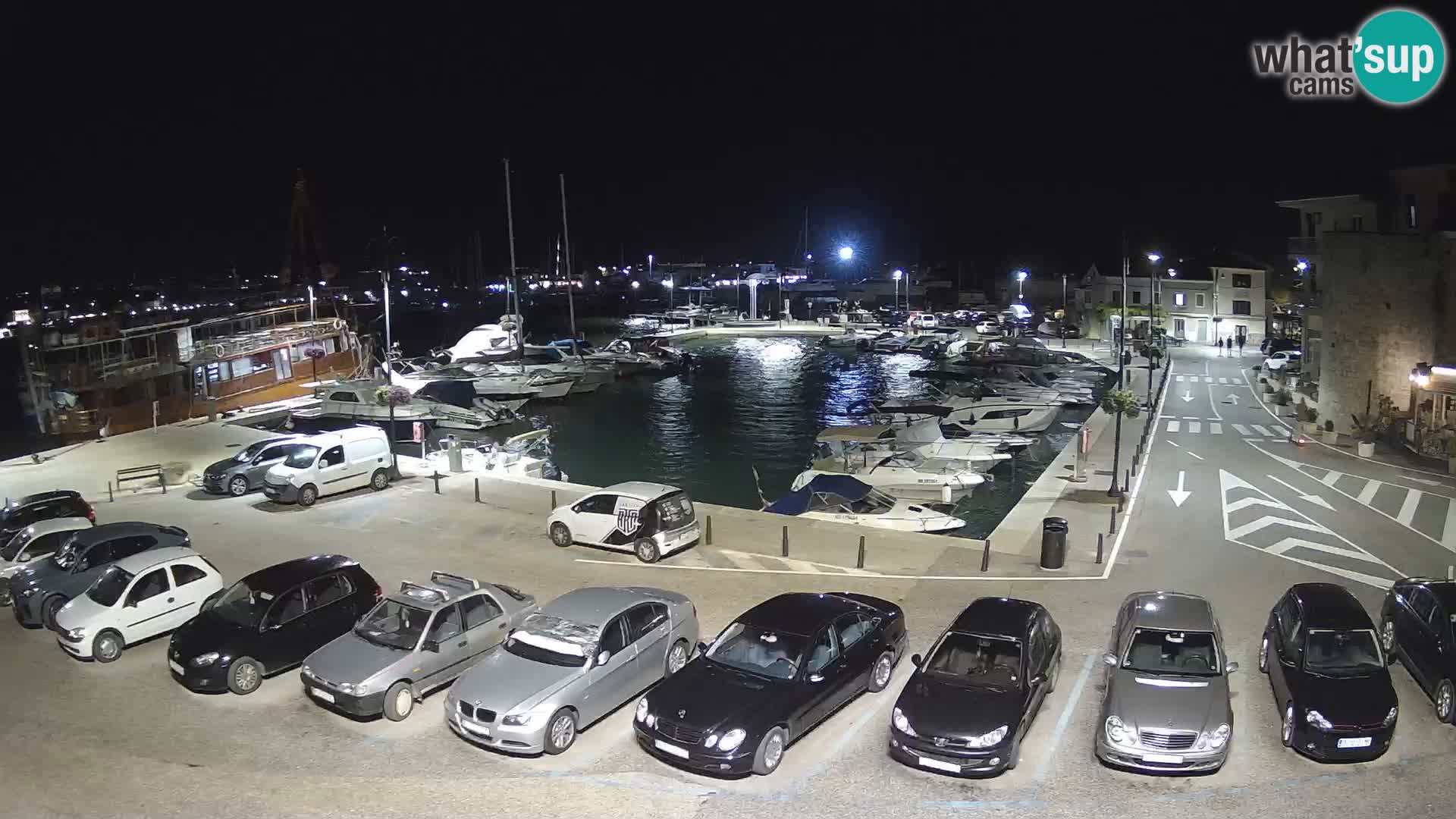 Novigrad | Porporela marina