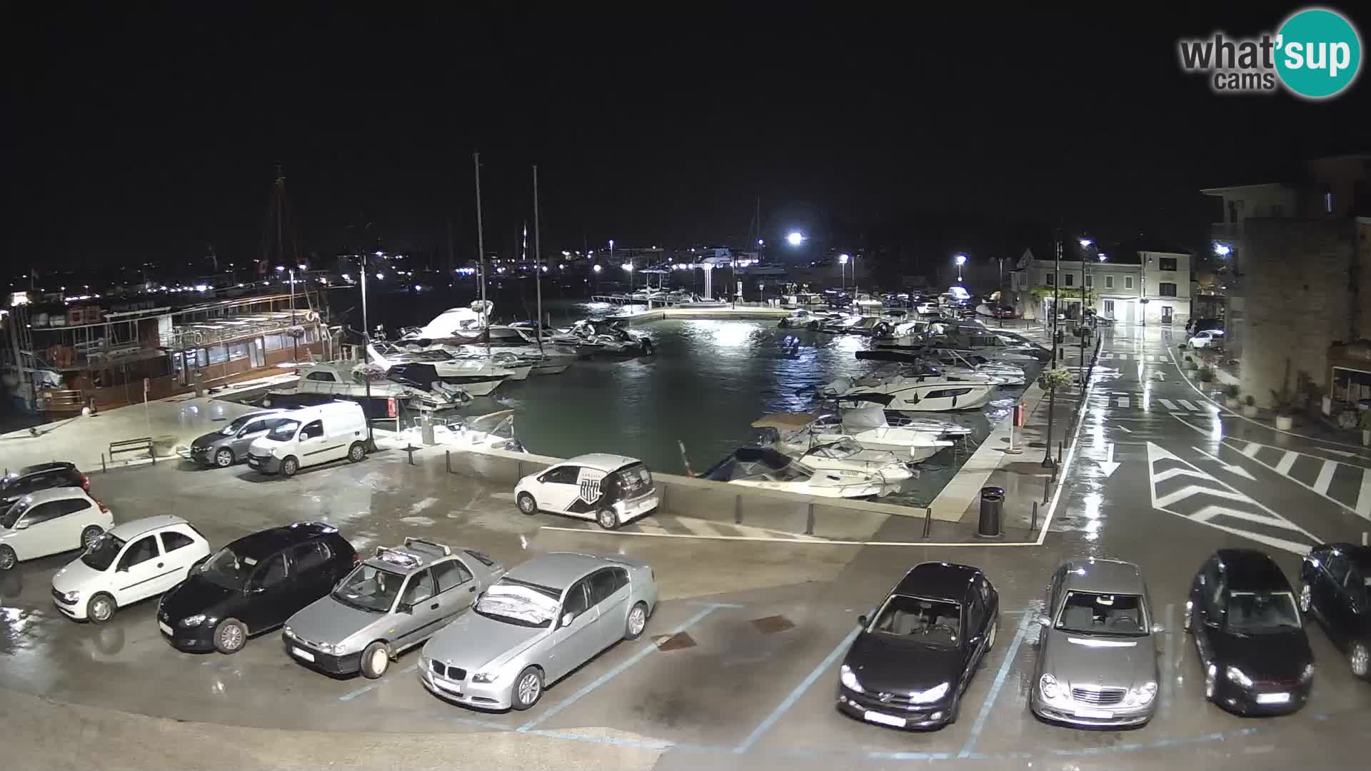 Novigrad | Porporela marina