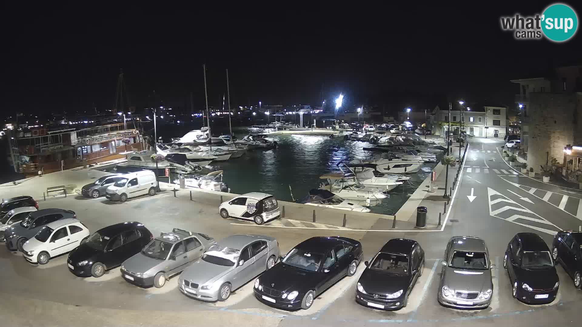 Novigrad | Porporela marina