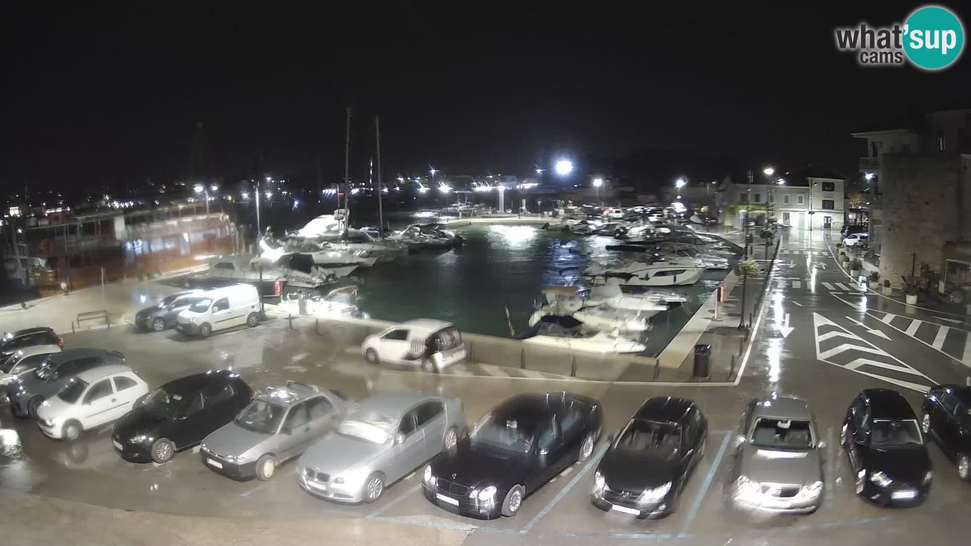 Novigrad | Porporela marina