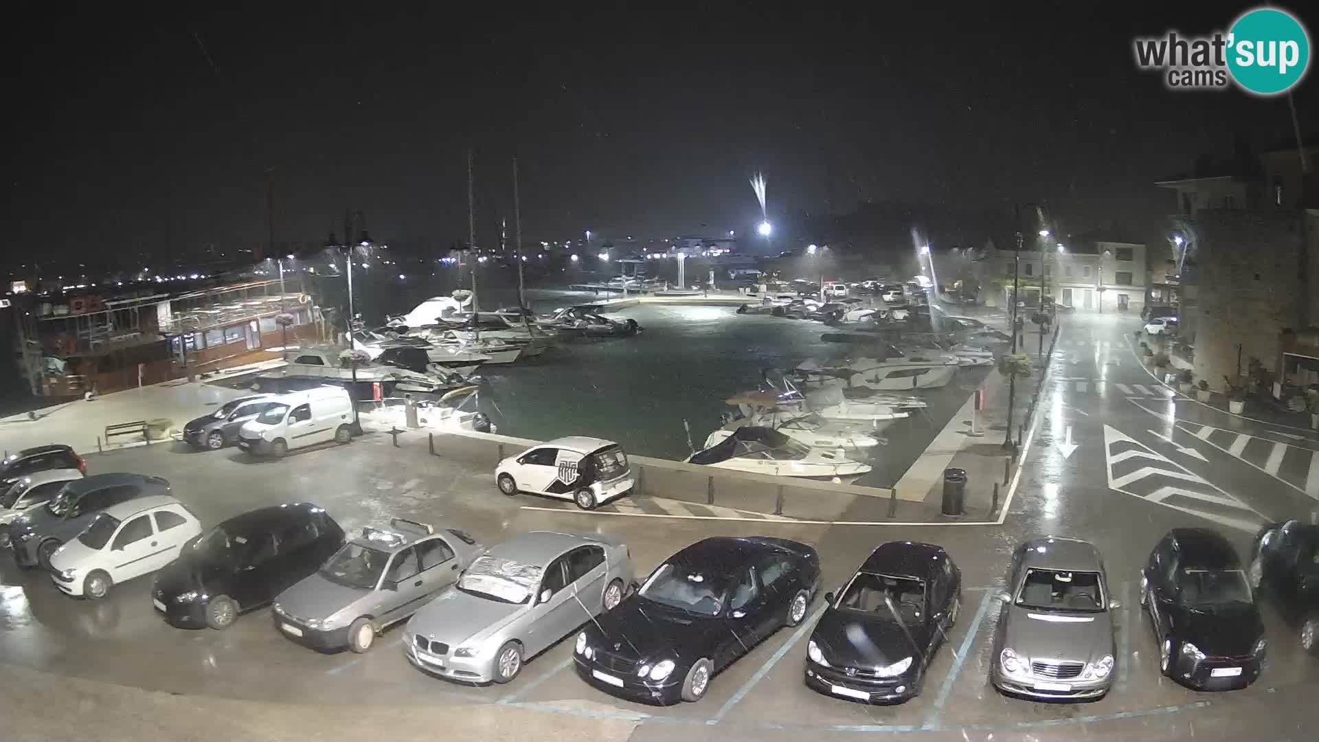 Novigrad | Porporela marina