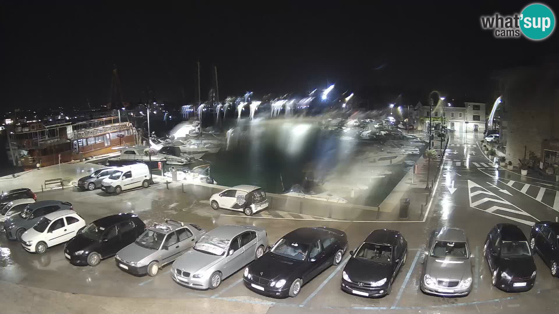 Novigrad | Porporela marina